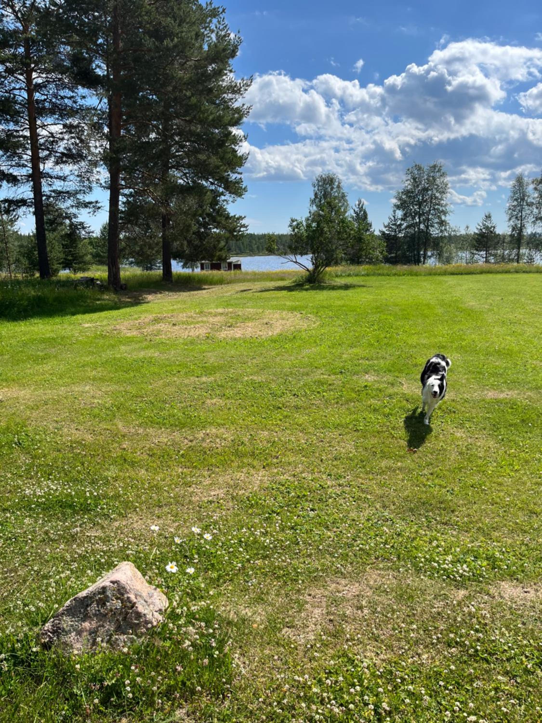 Slåttsjön