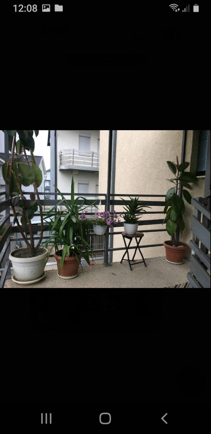 Apartman Struga
