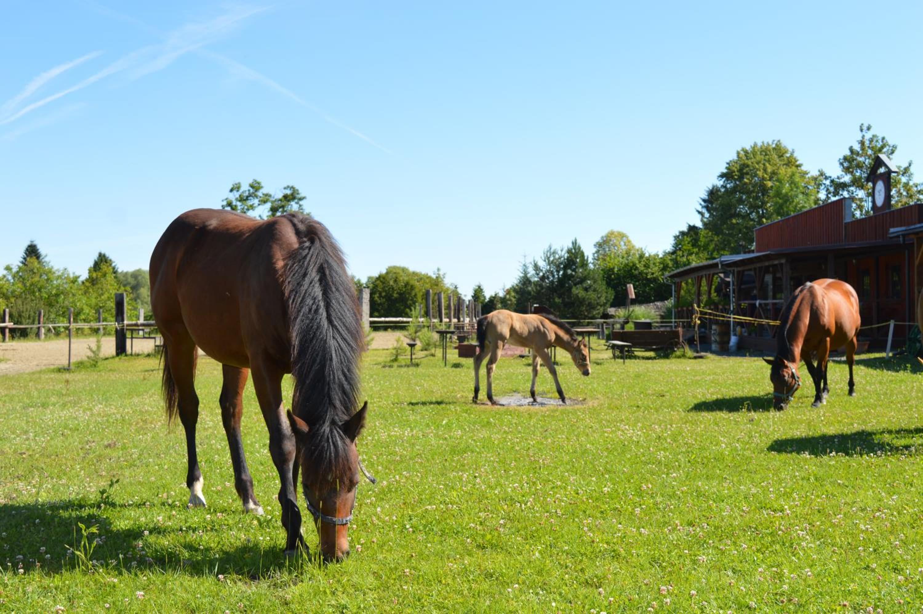BUBLA CITY RANCH