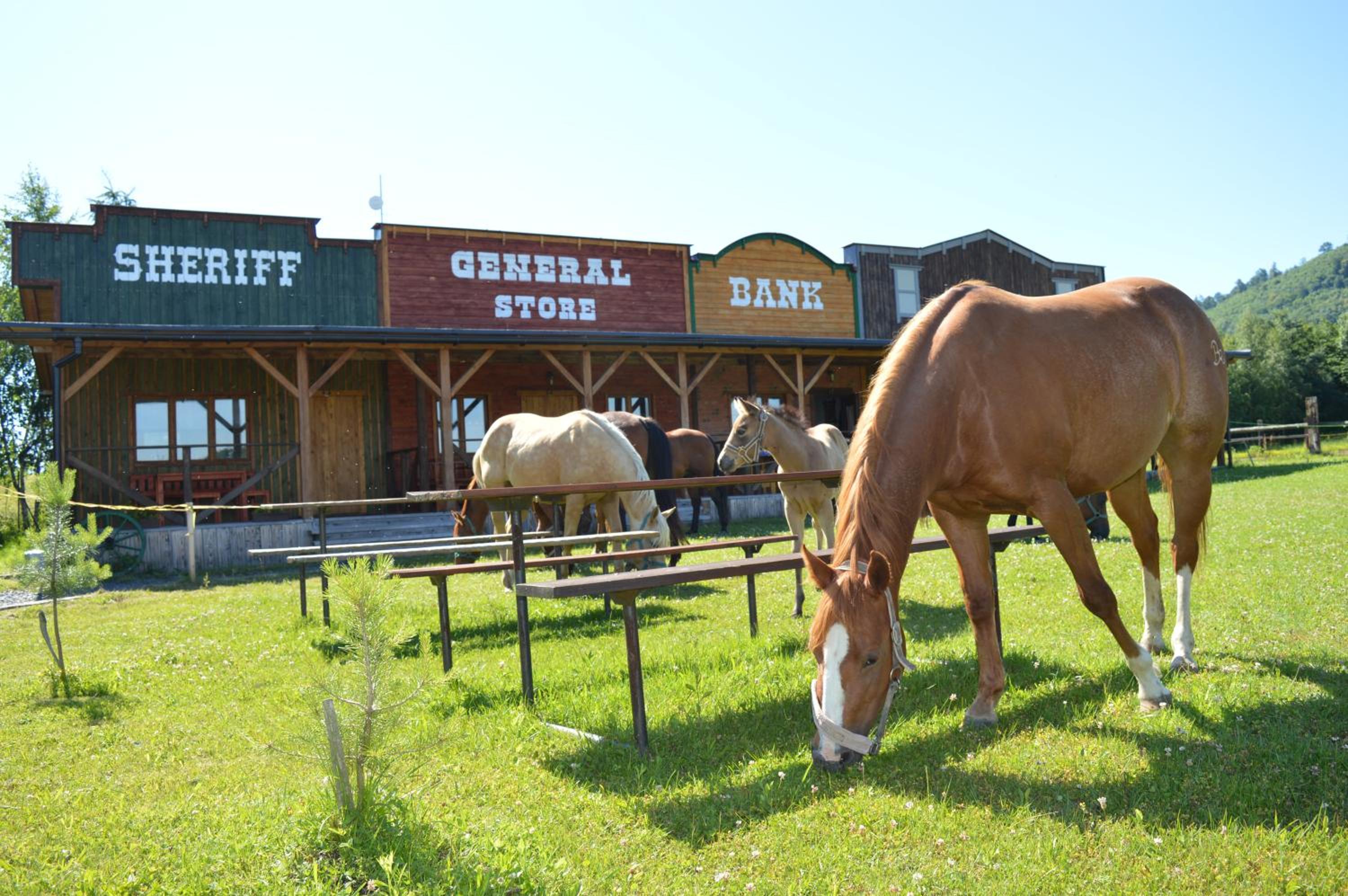BUBLA CITY RANCH