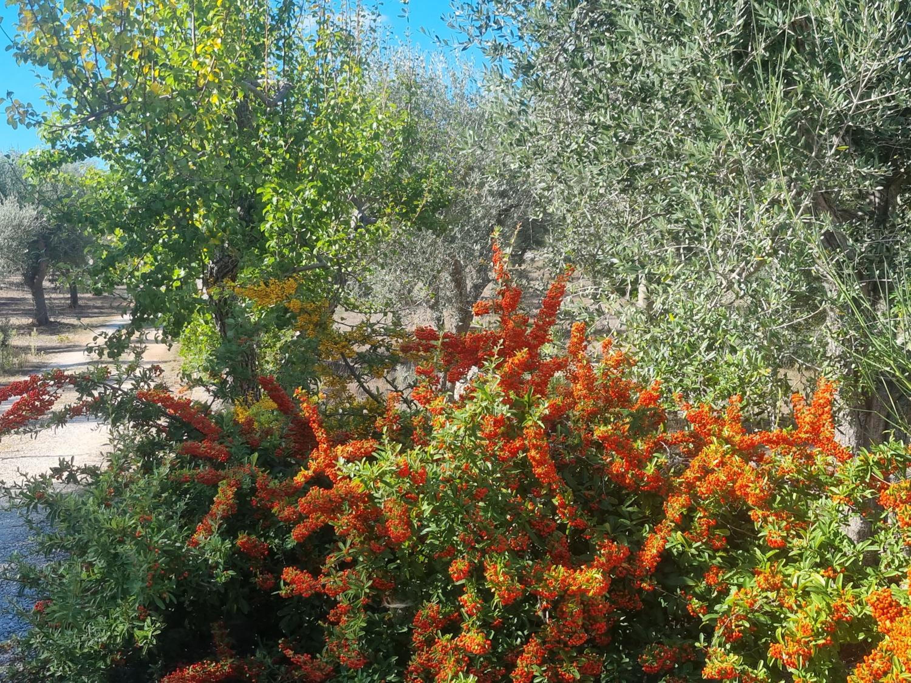 Photo 26