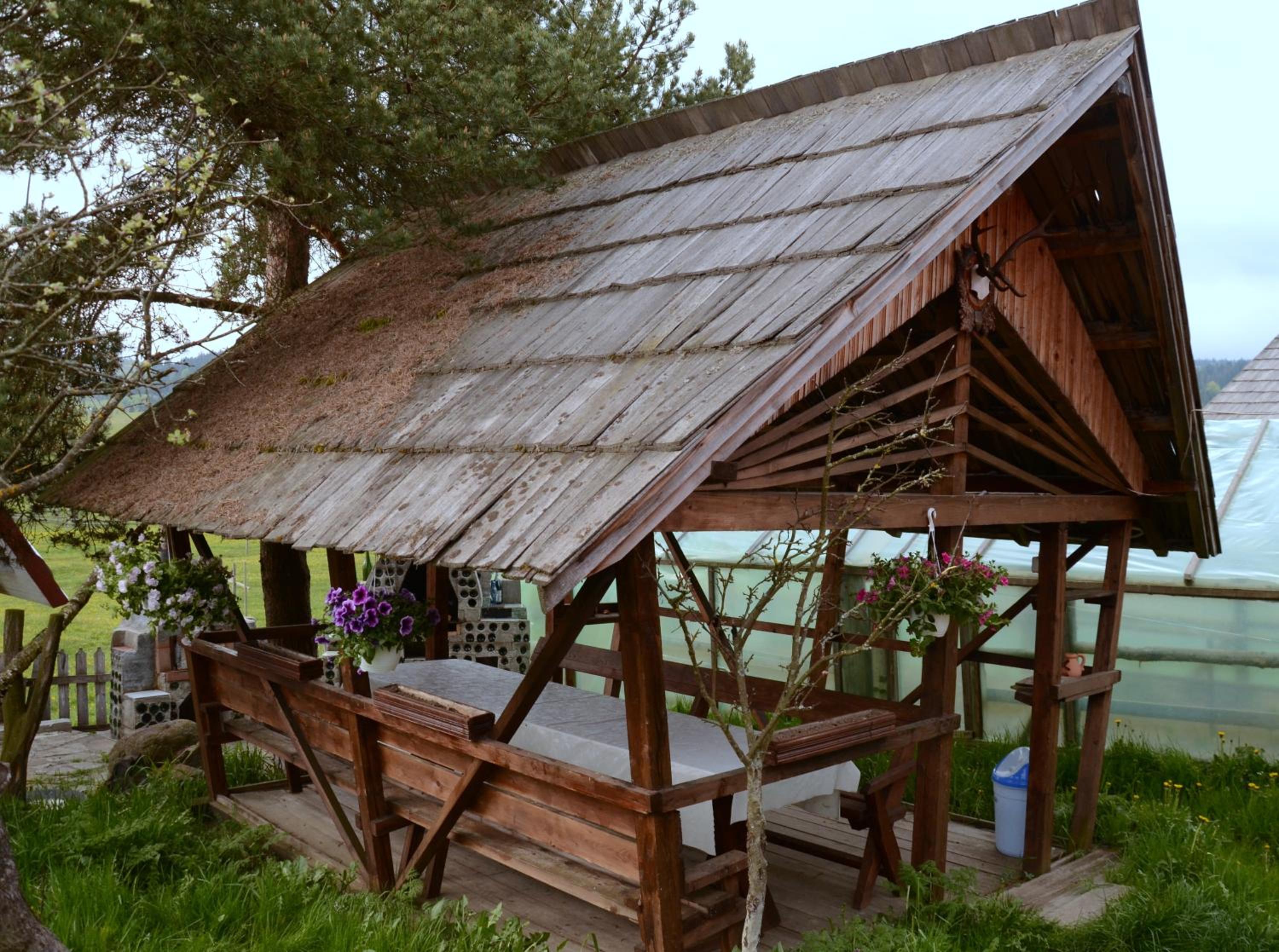 Photo 24