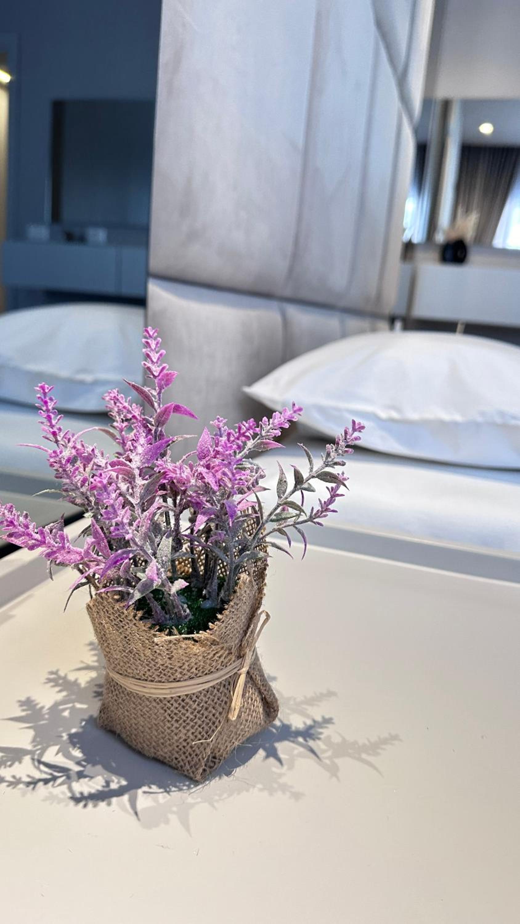 Frida Luxury Apartment