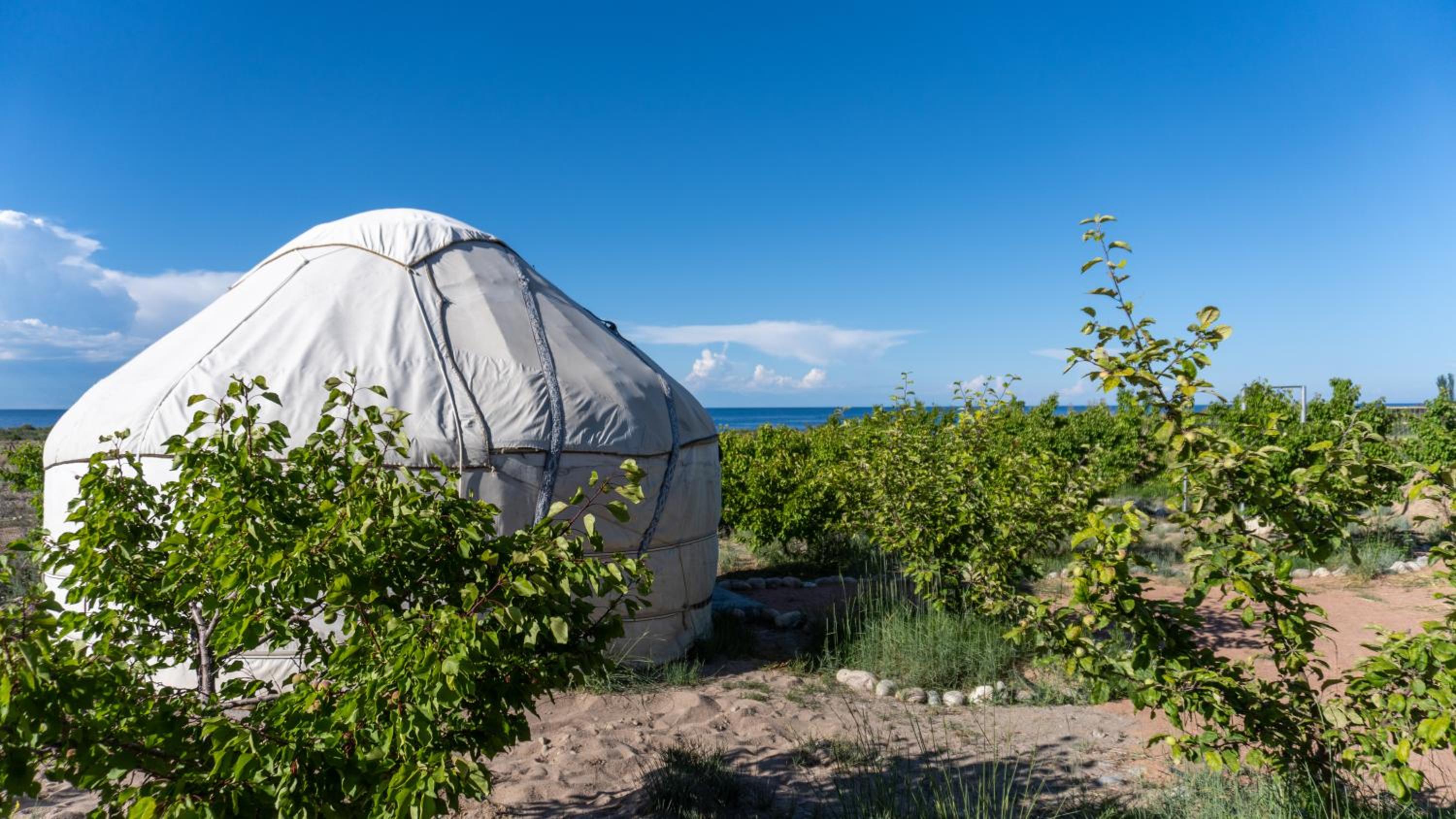 Guest house and yurt camp Svetlana
