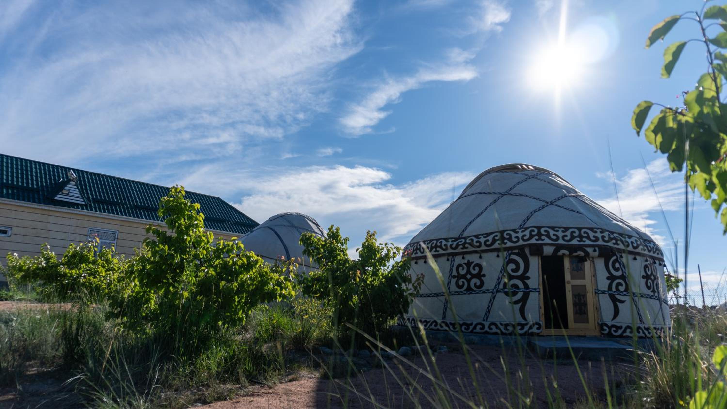 Guest house and yurt camp Svetlana