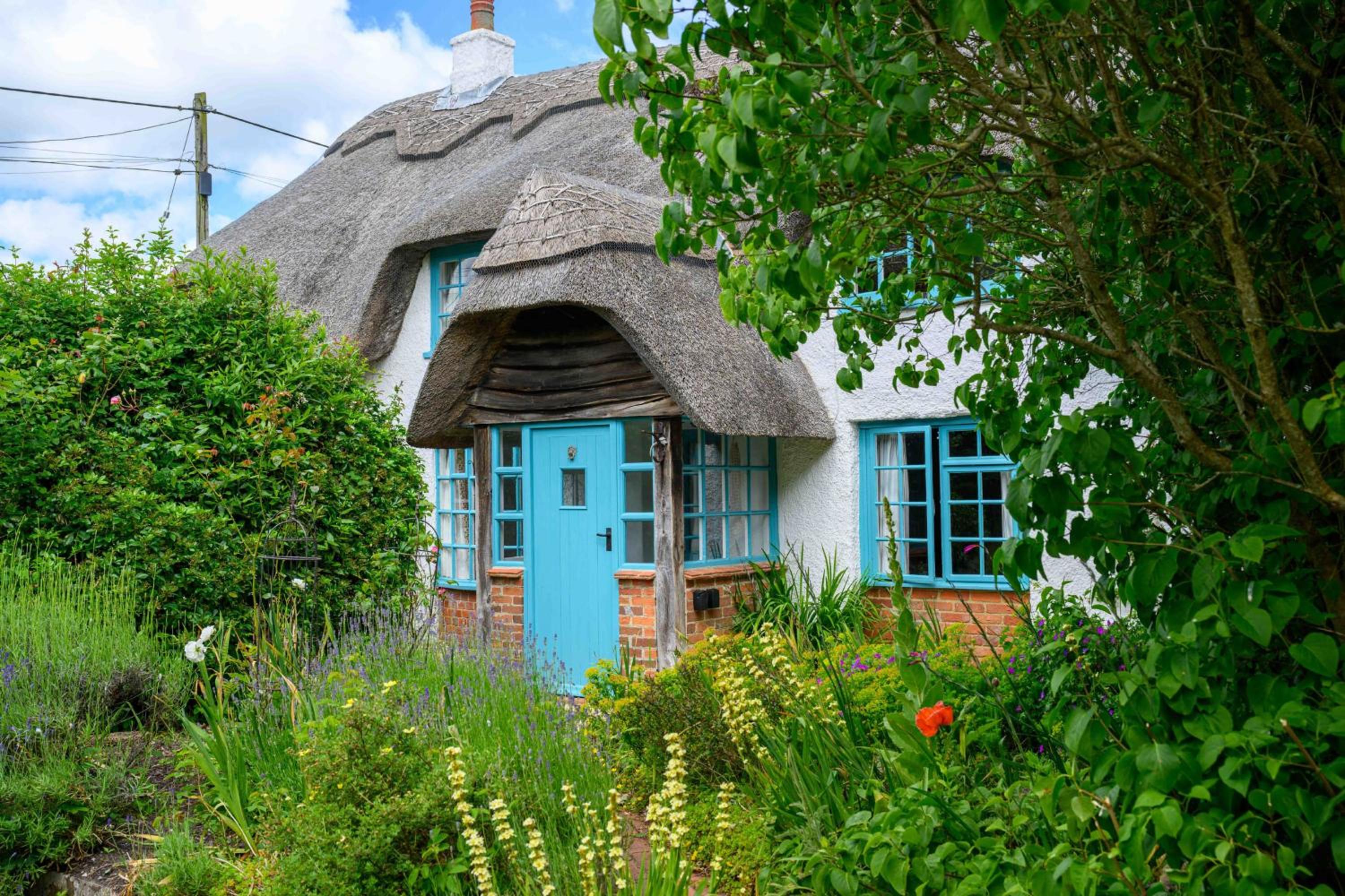 Forest Cottage