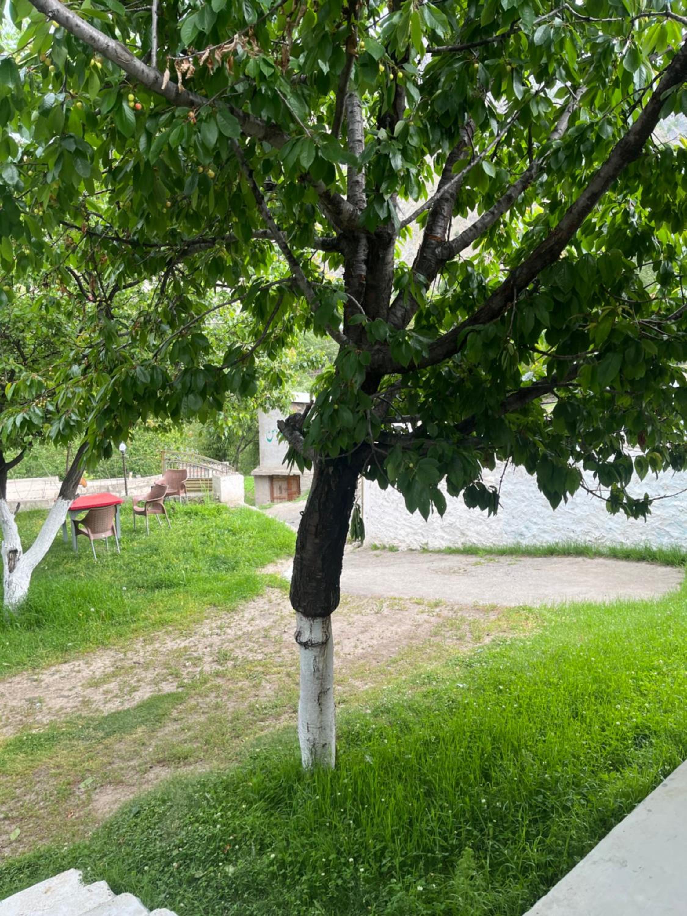 Photo 9