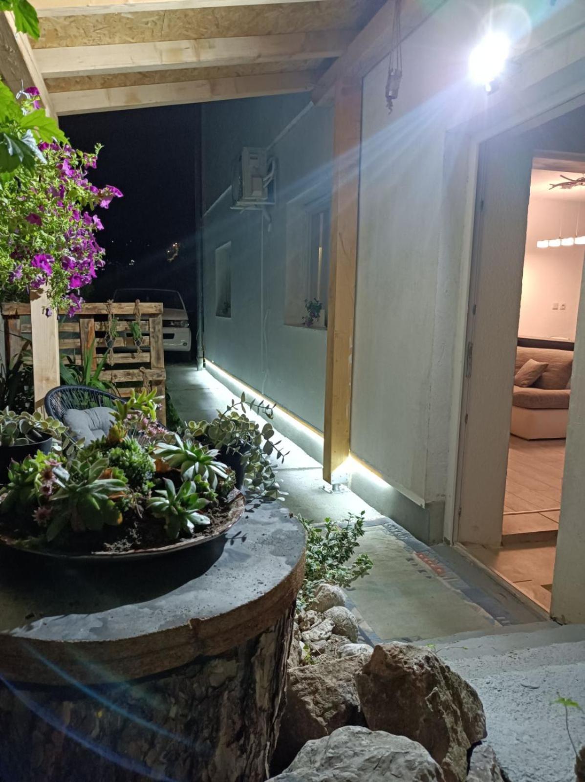 Cozy apartment with garden
