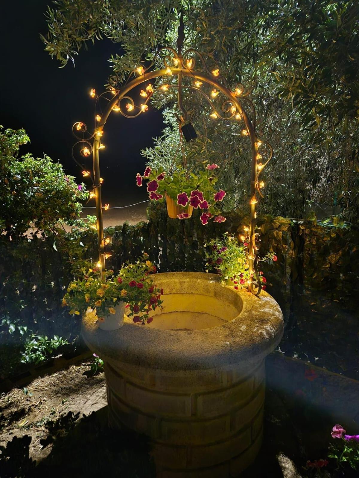 La Bouganvillea