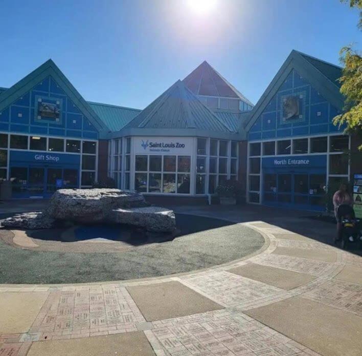 Cozy 1BR with W&D and Parking near BJH STL Zoo view 4