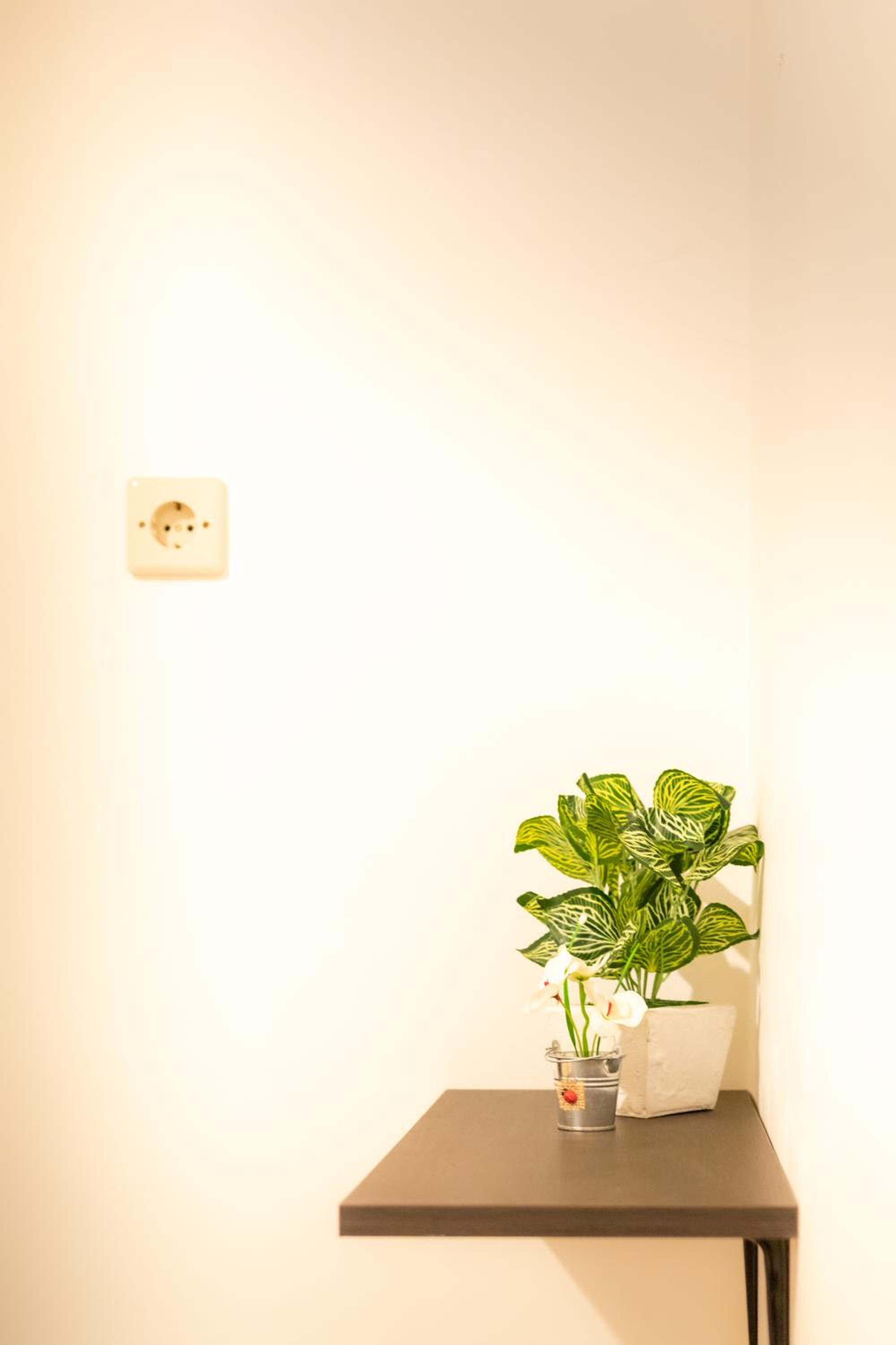 Moshi Moshi, photo 38
