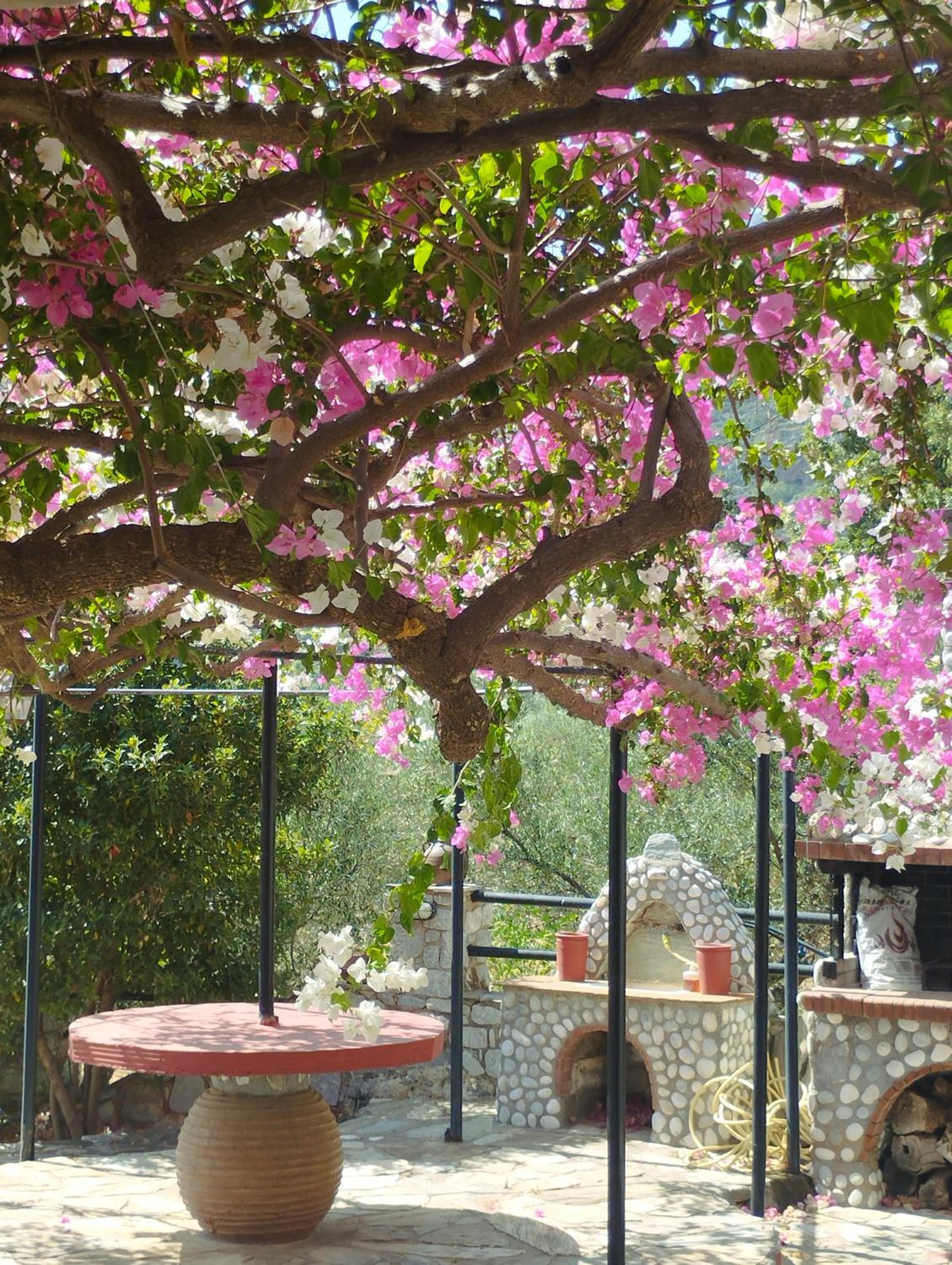 Laconian Collection Villa Voukamvilia
