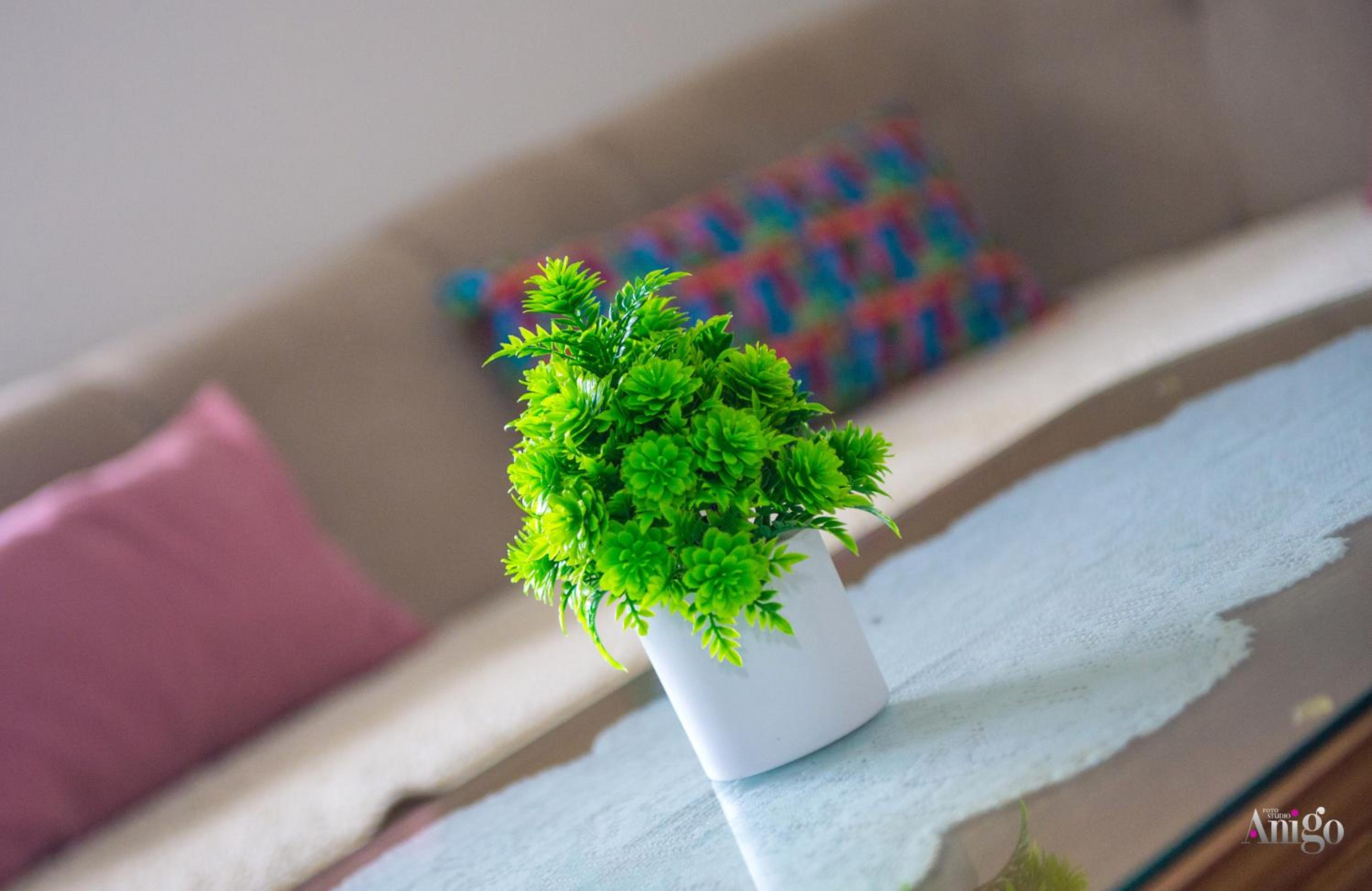 Holiday Home Simplicity