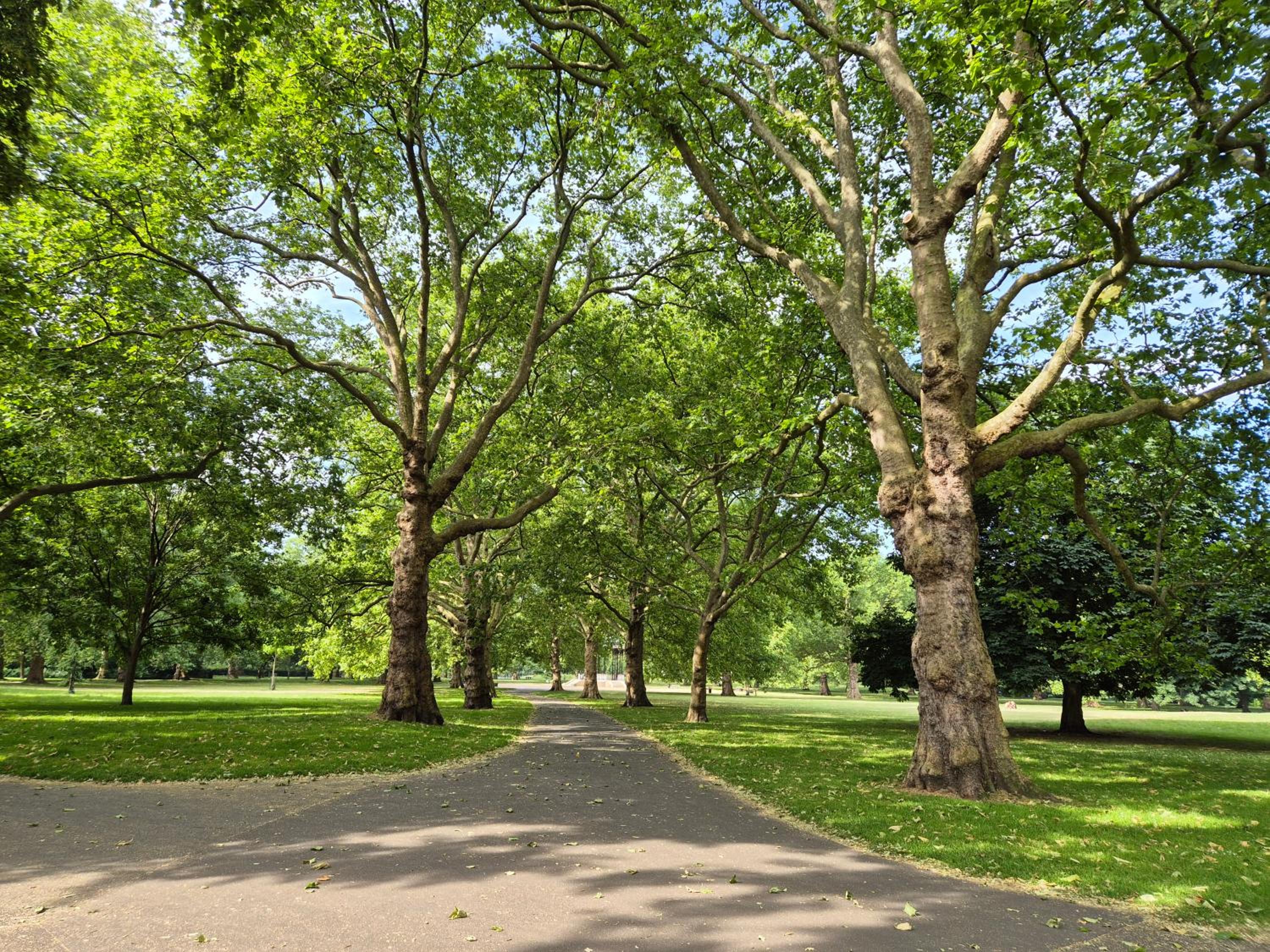 Photo 35