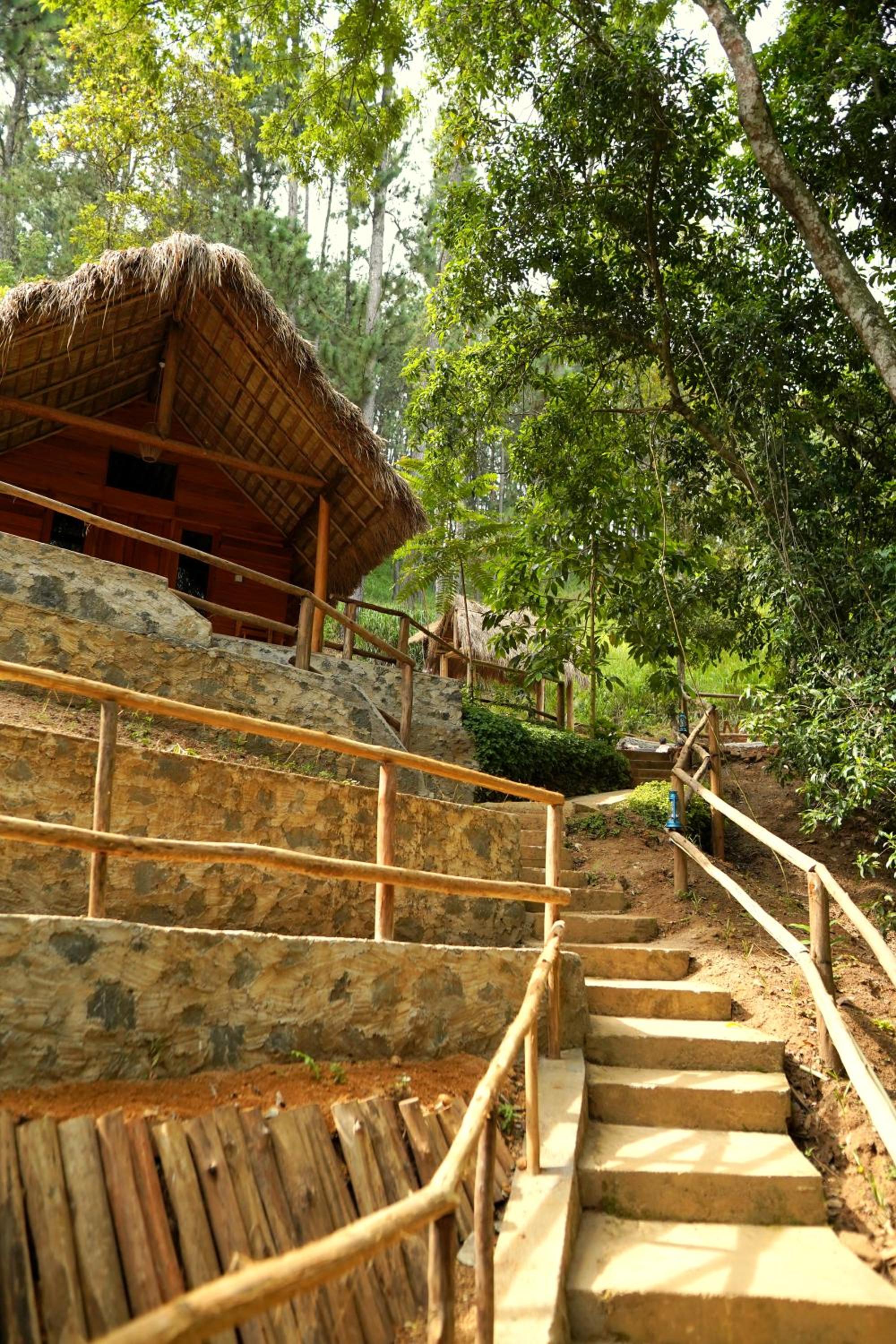 Photo 44