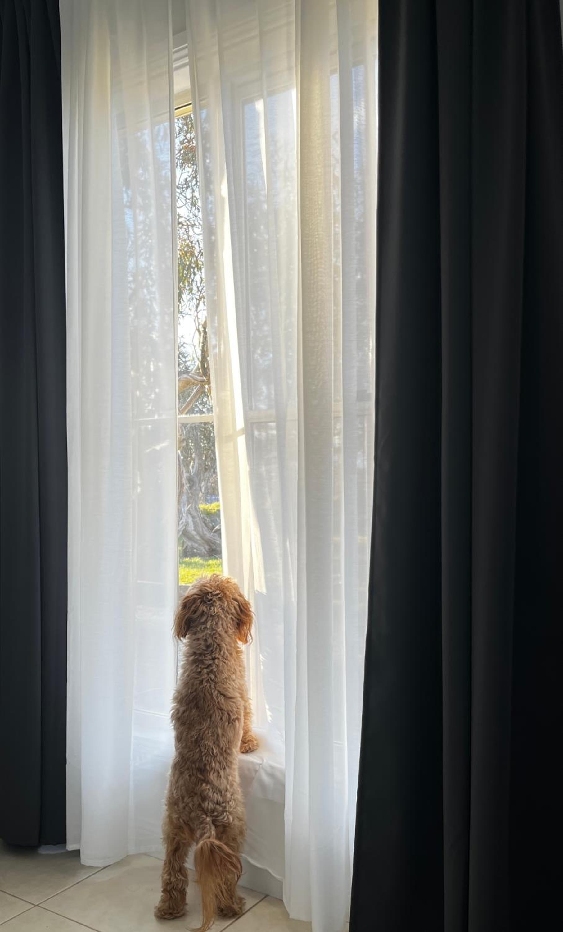 human