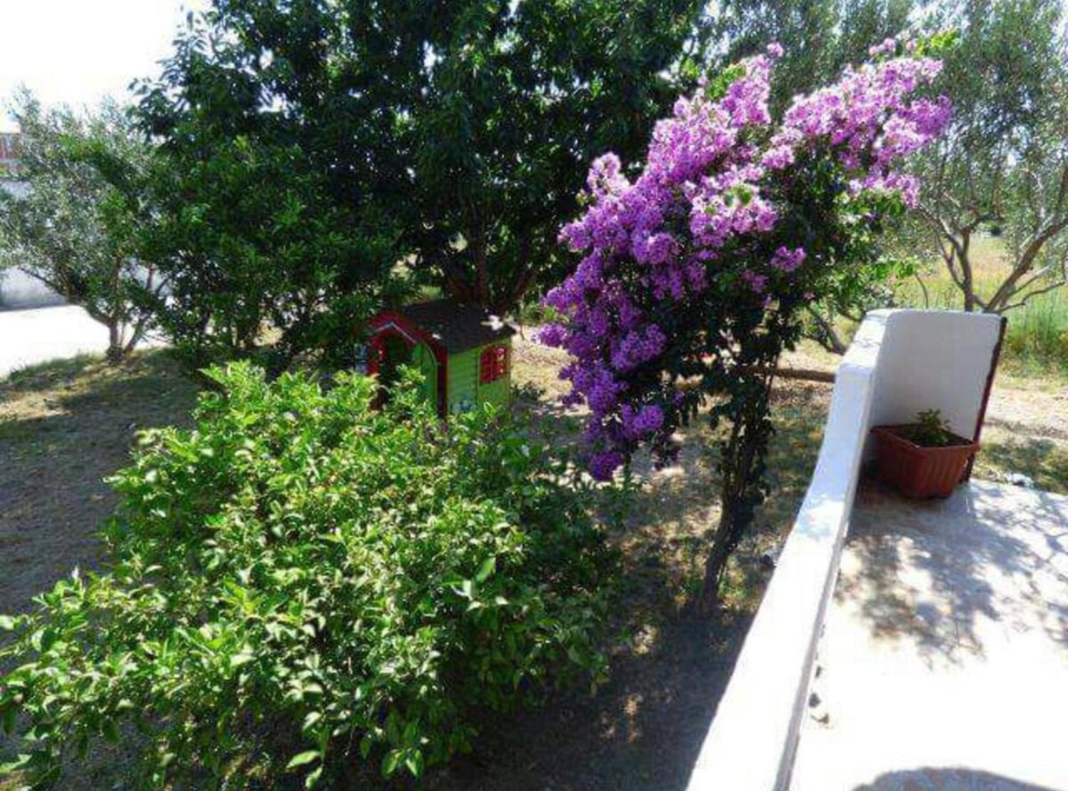 Apartment Andora