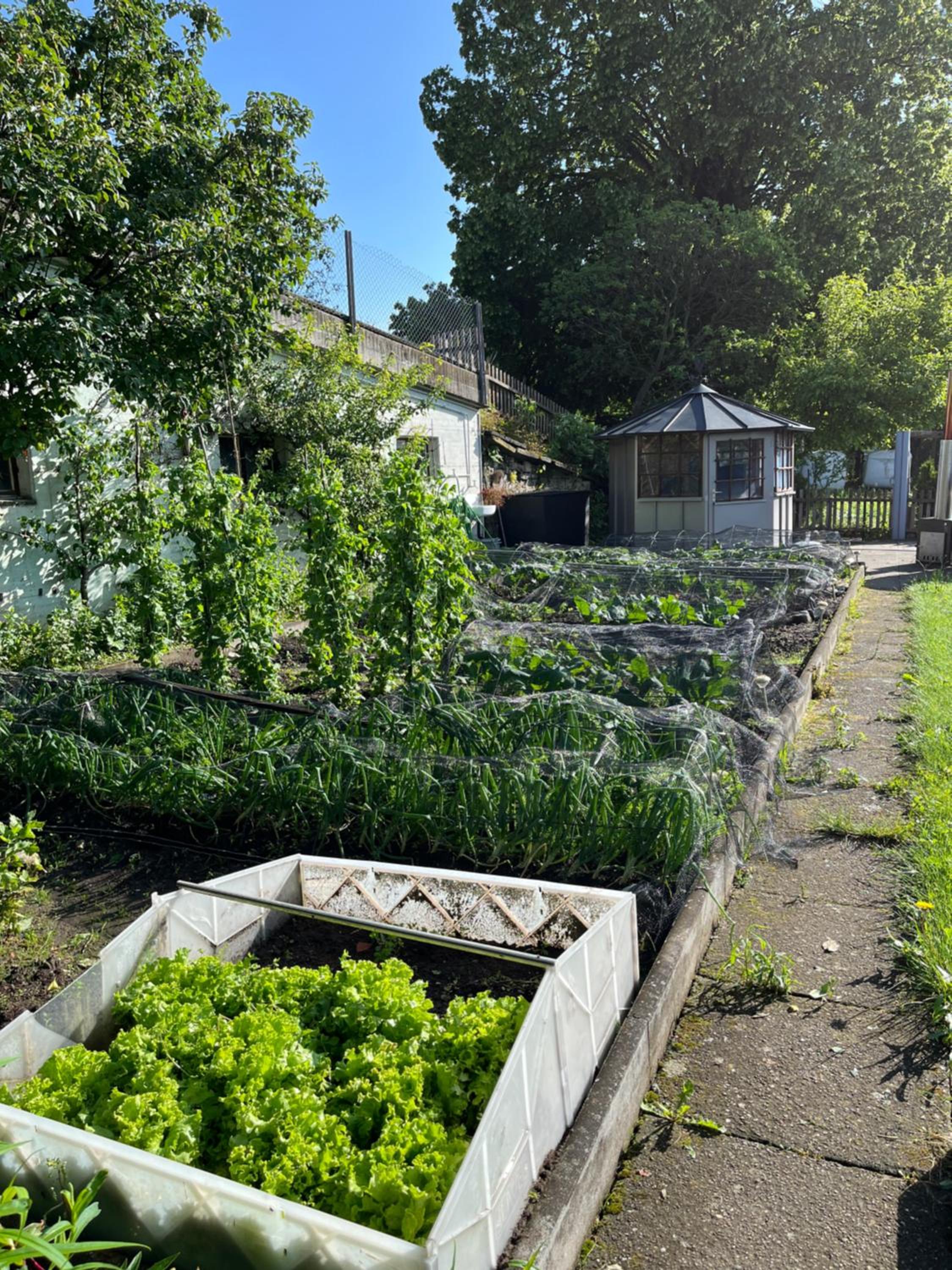 Ferienwohnung auf Bauernhof mit Hotpot und Sauna