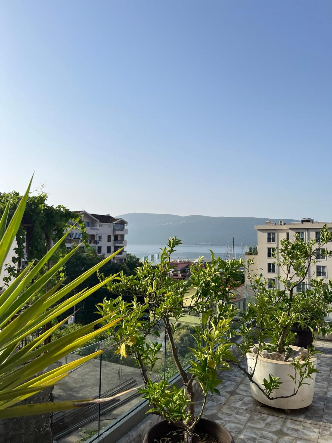Apartmani Jakšić