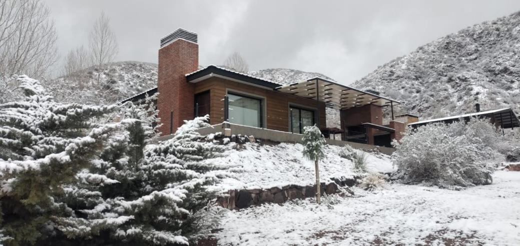Viví Potrerillos