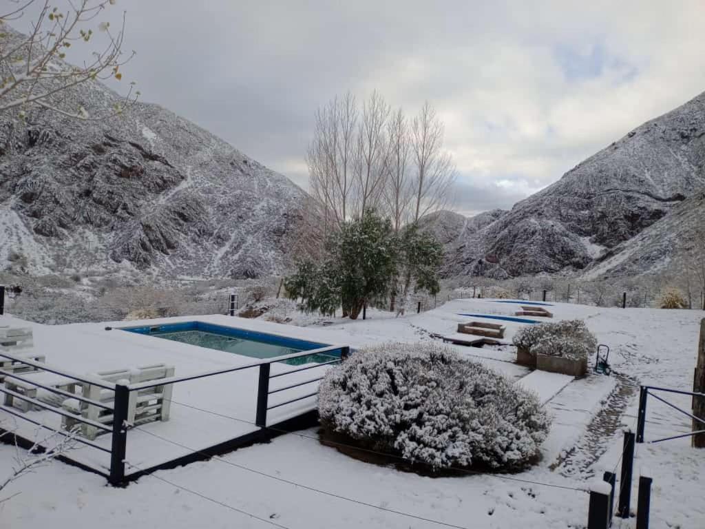 Viví Potrerillos