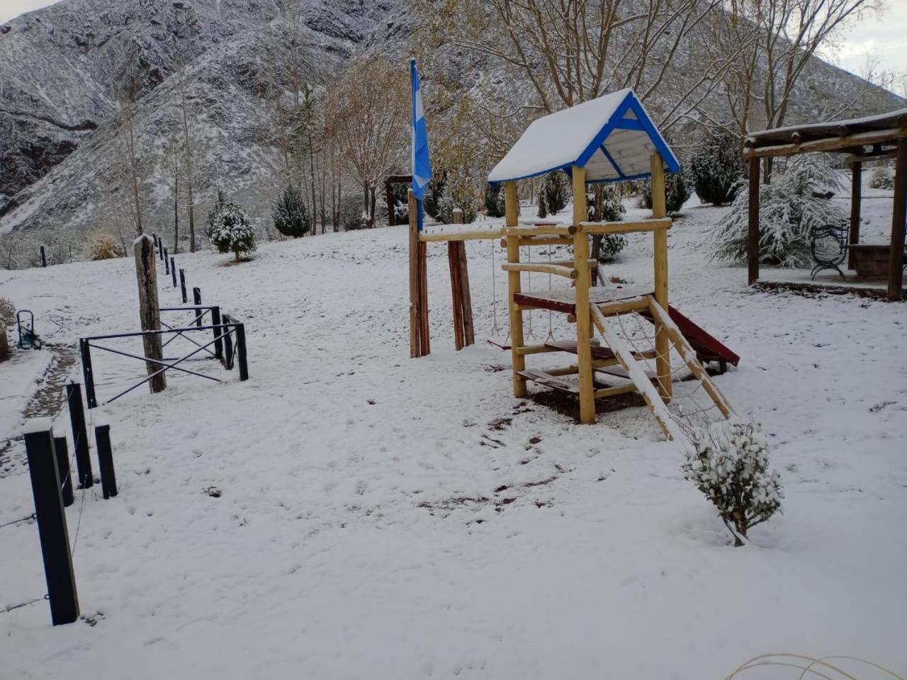 Viví Potrerillos
