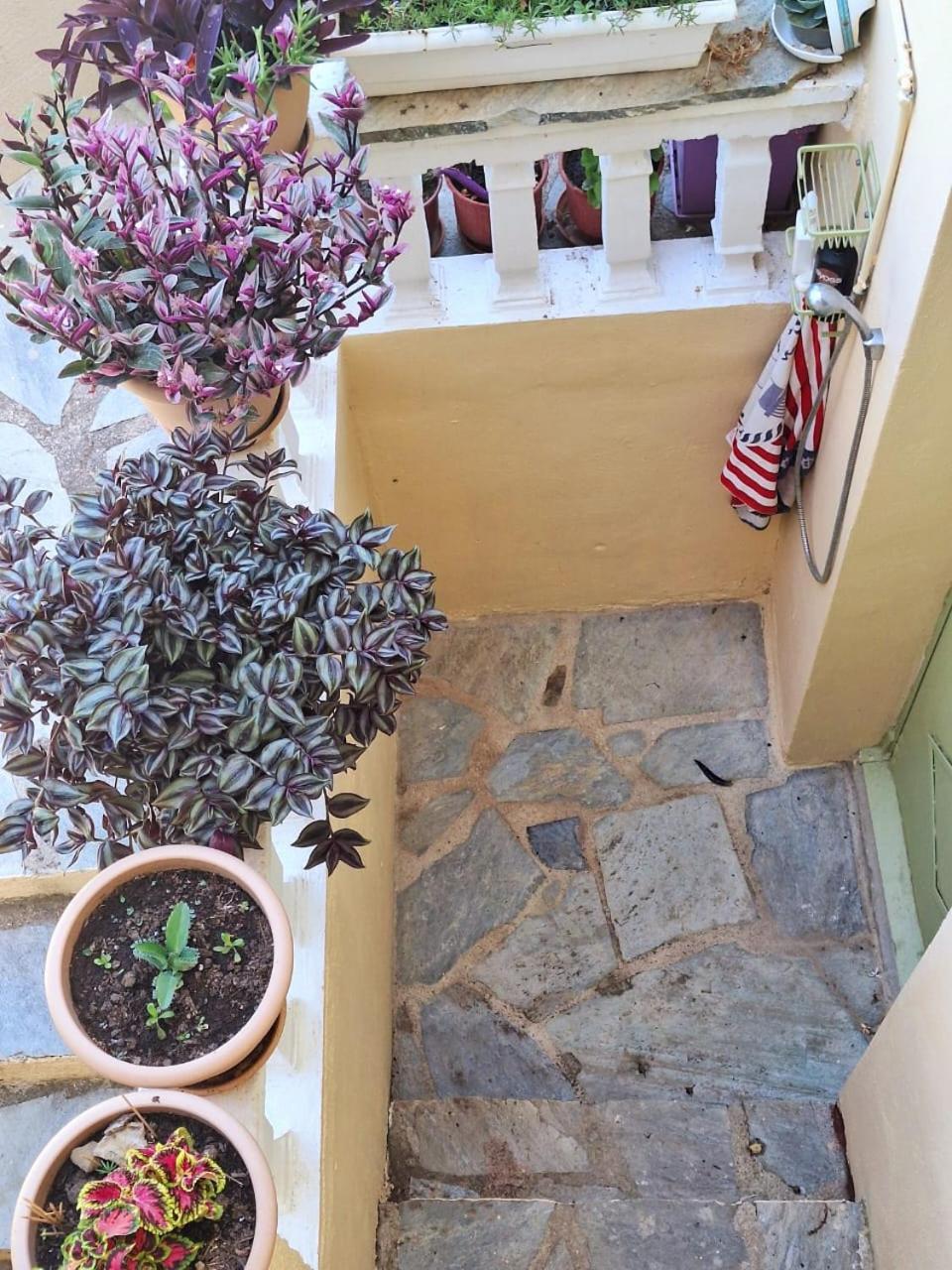 Marchie's Place - Spacious one bedroom apartment for rent on Skopelos Island photo 3