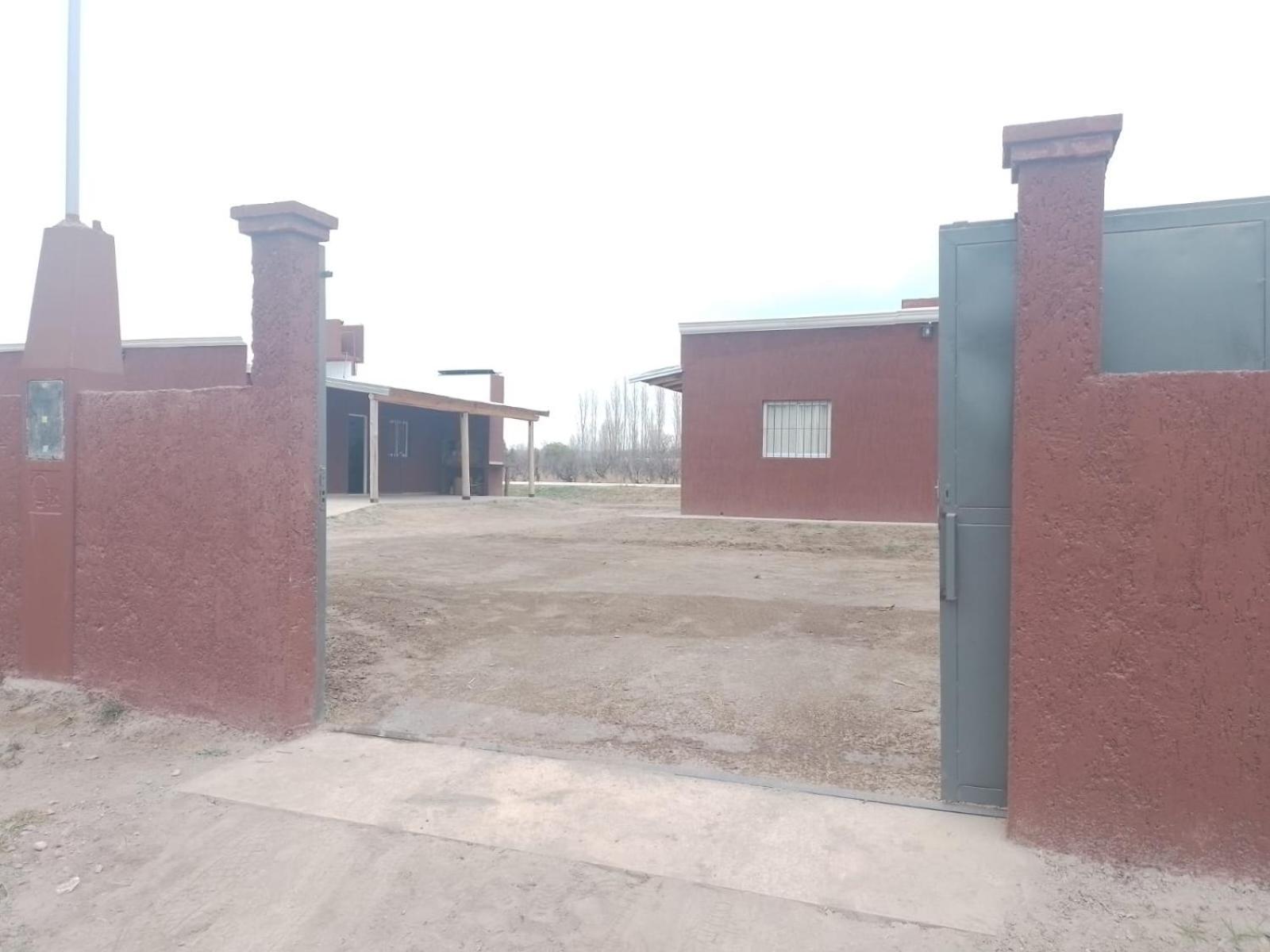 Cabañas rodeada de viñedos con piscina
