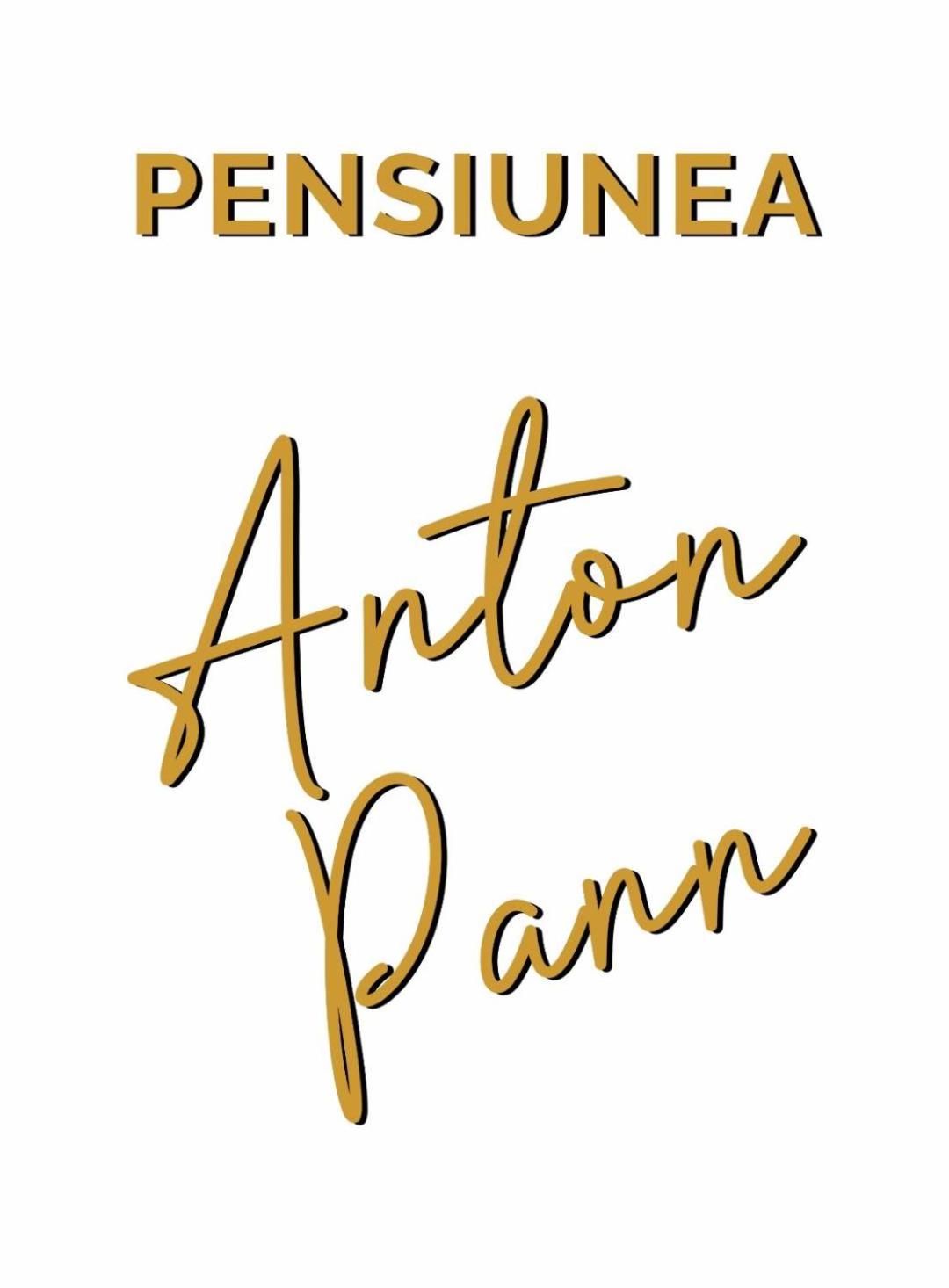 Pensiunea Anton Pann
