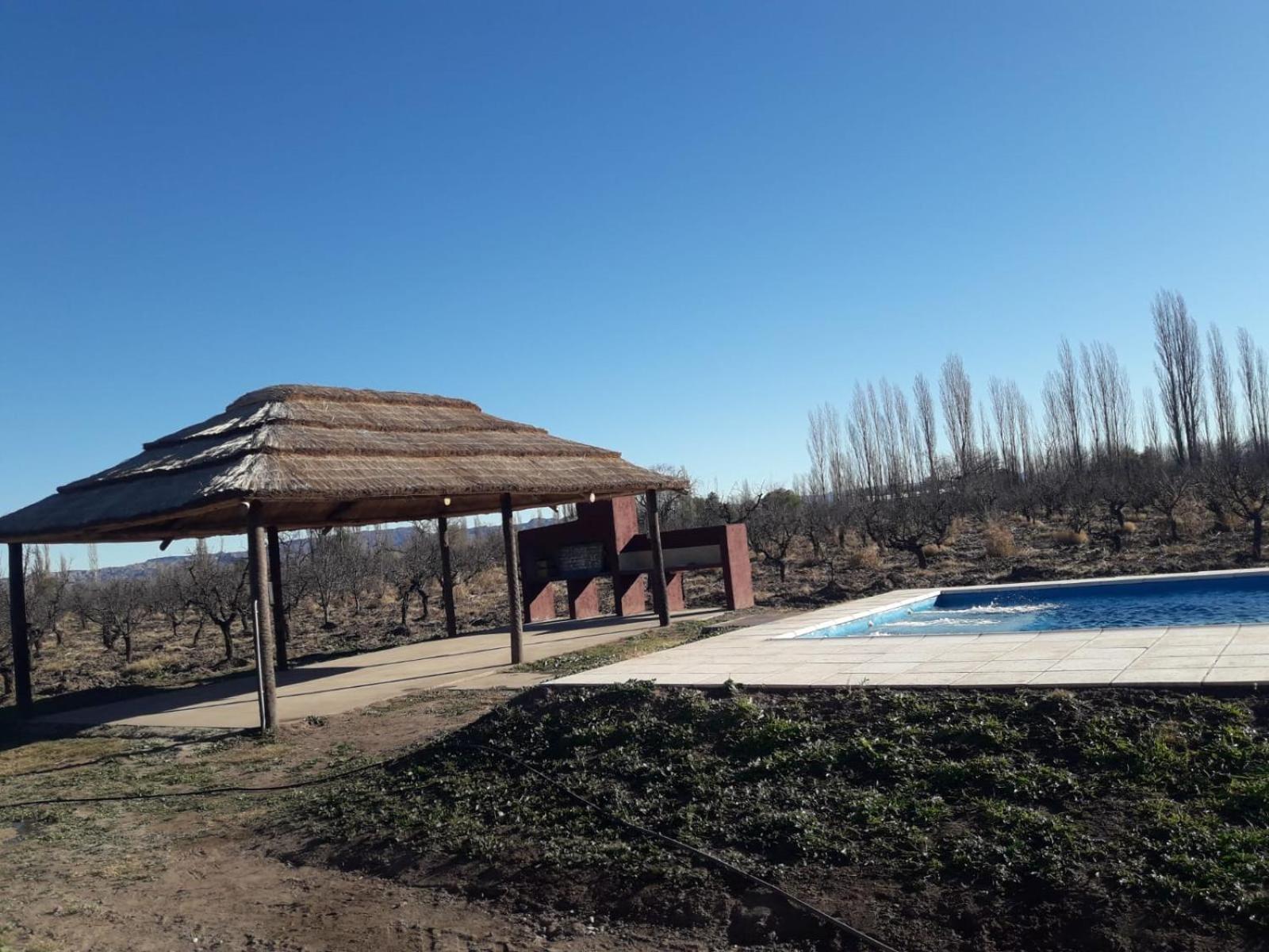 Cabañas rodeada de viñedos con piscina