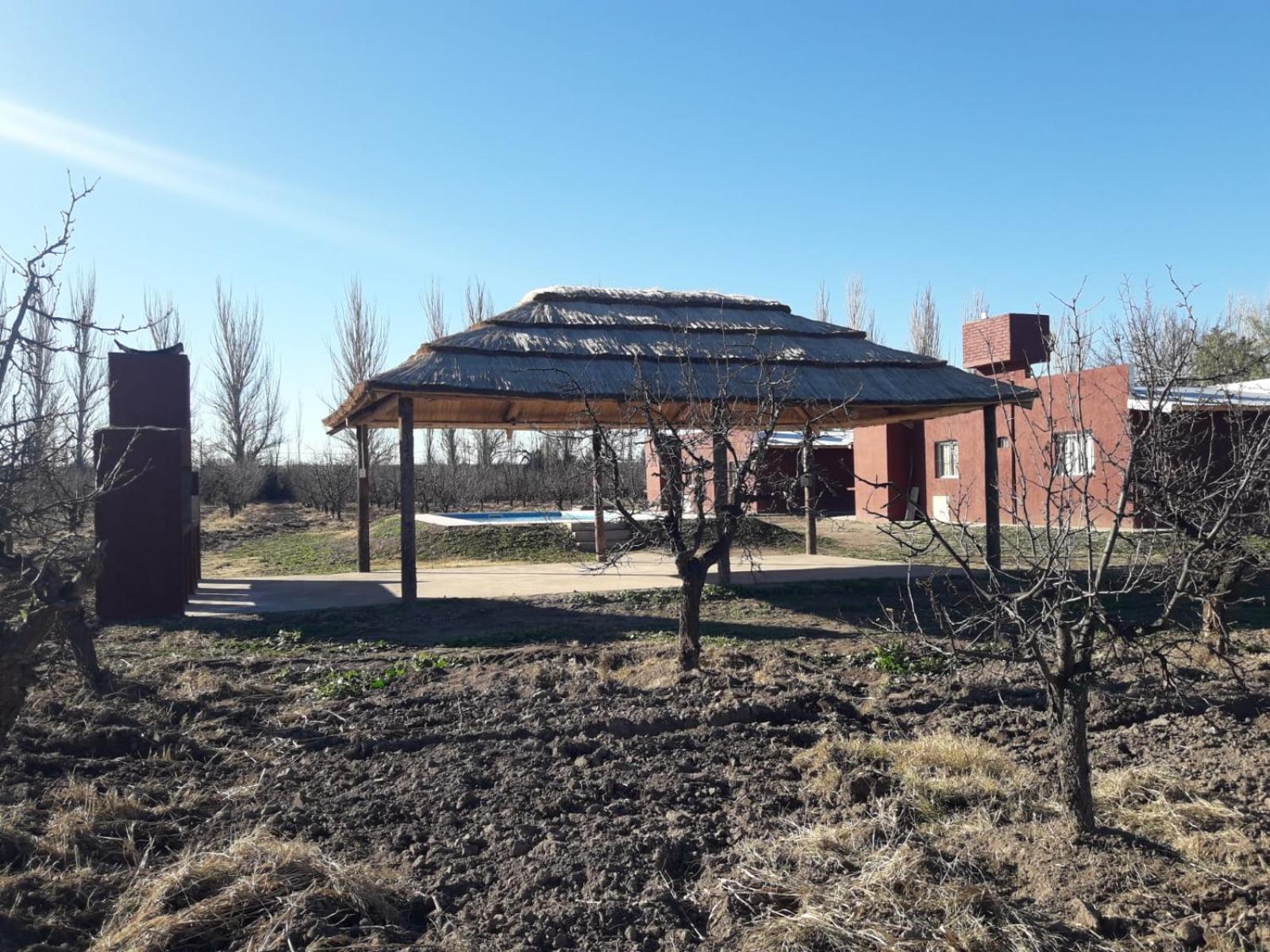 Cabañas rodeada de viñedos con piscina