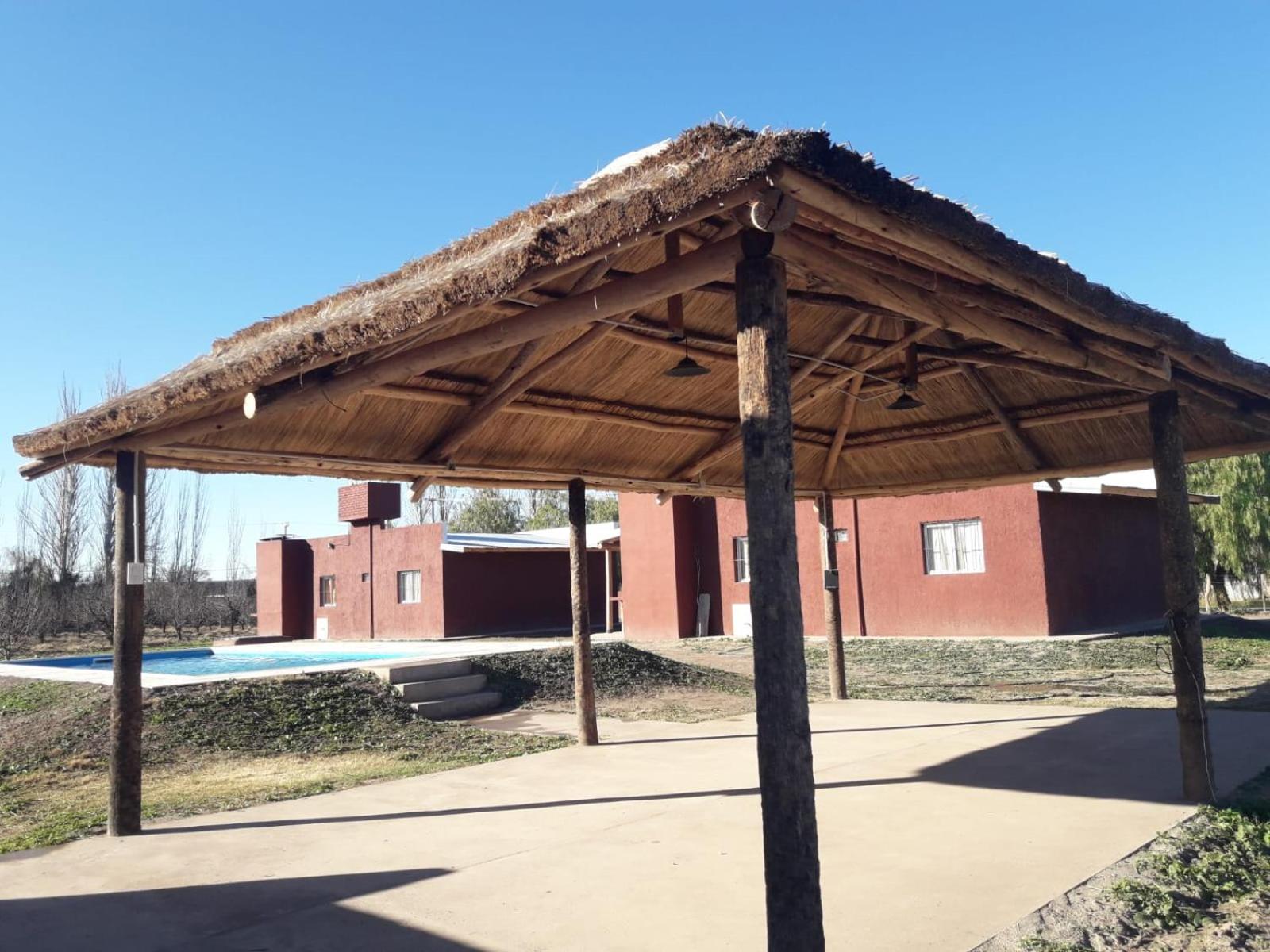 Cabañas rodeada de viñedos con piscina