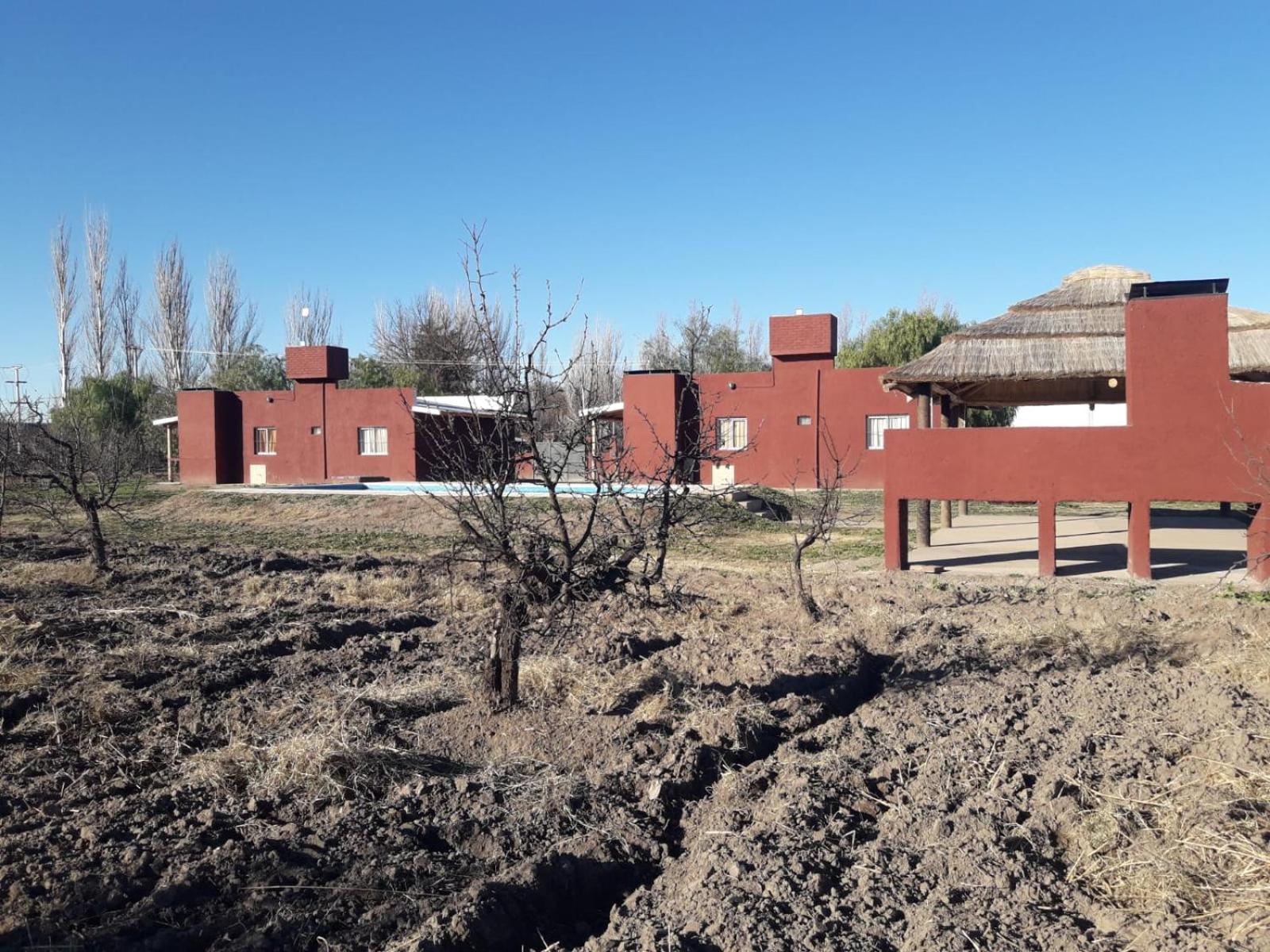 Cabañas rodeada de viñedos con piscina