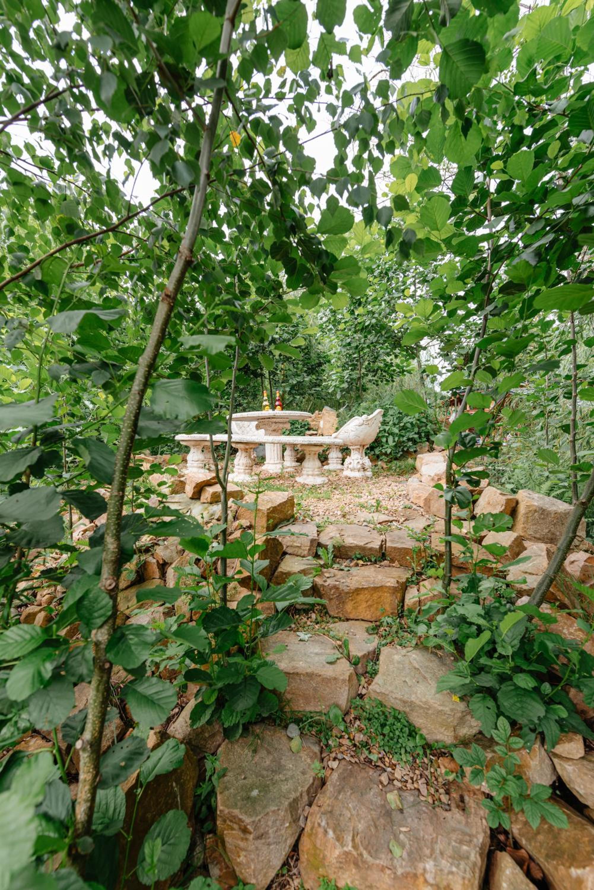 Cabana Cuib de Soim
