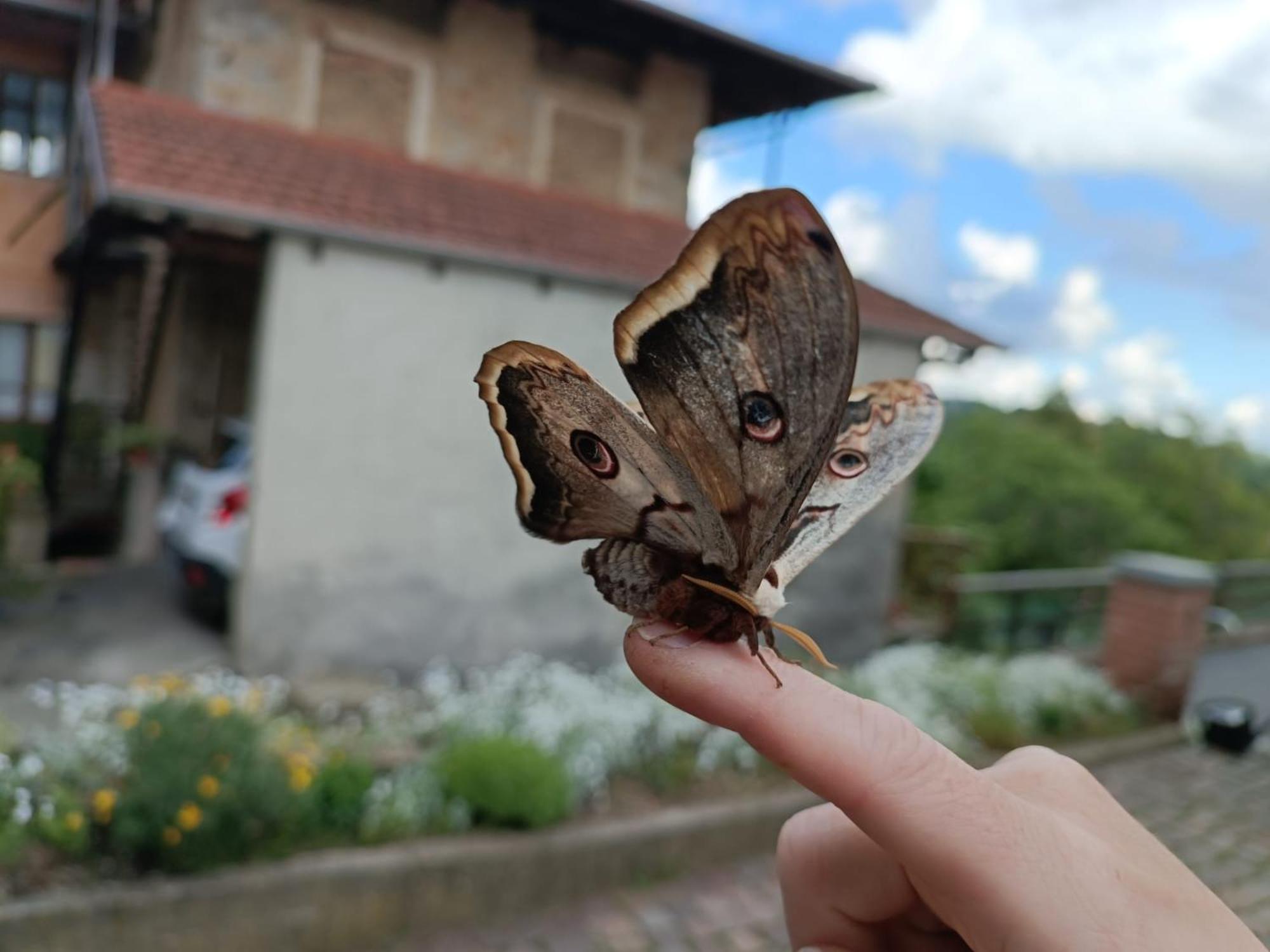 Le Zie Valdilana view 4
