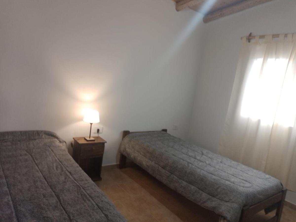 Cabañas rodeada de viñedos con piscina