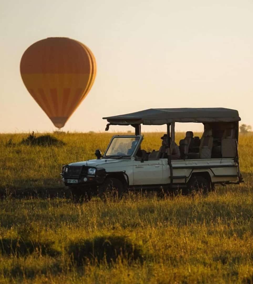Osono African safari