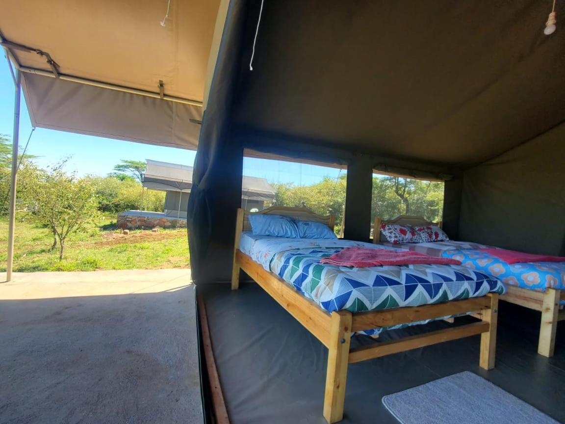 Osono African safari