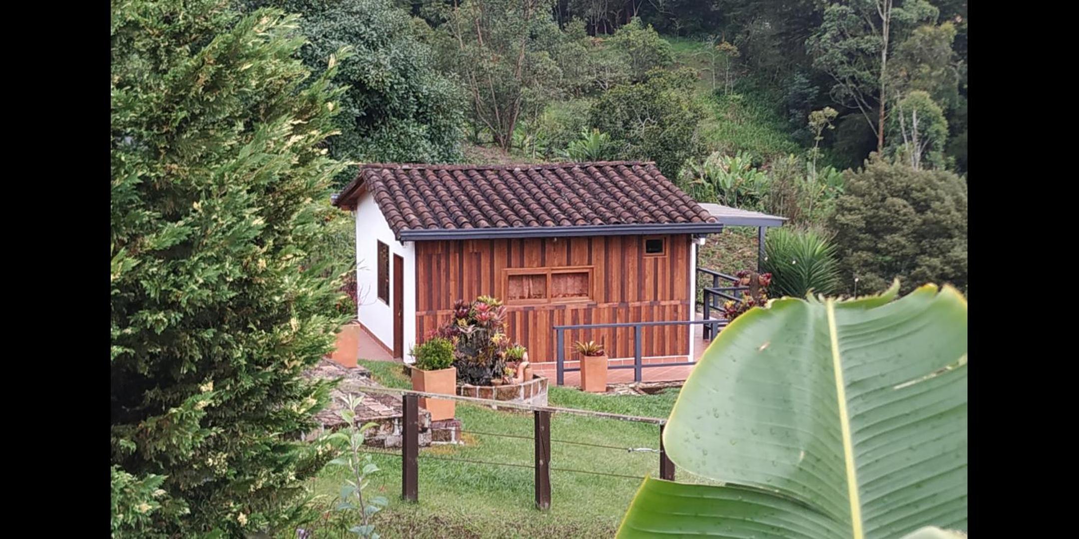 San José de las bromelias