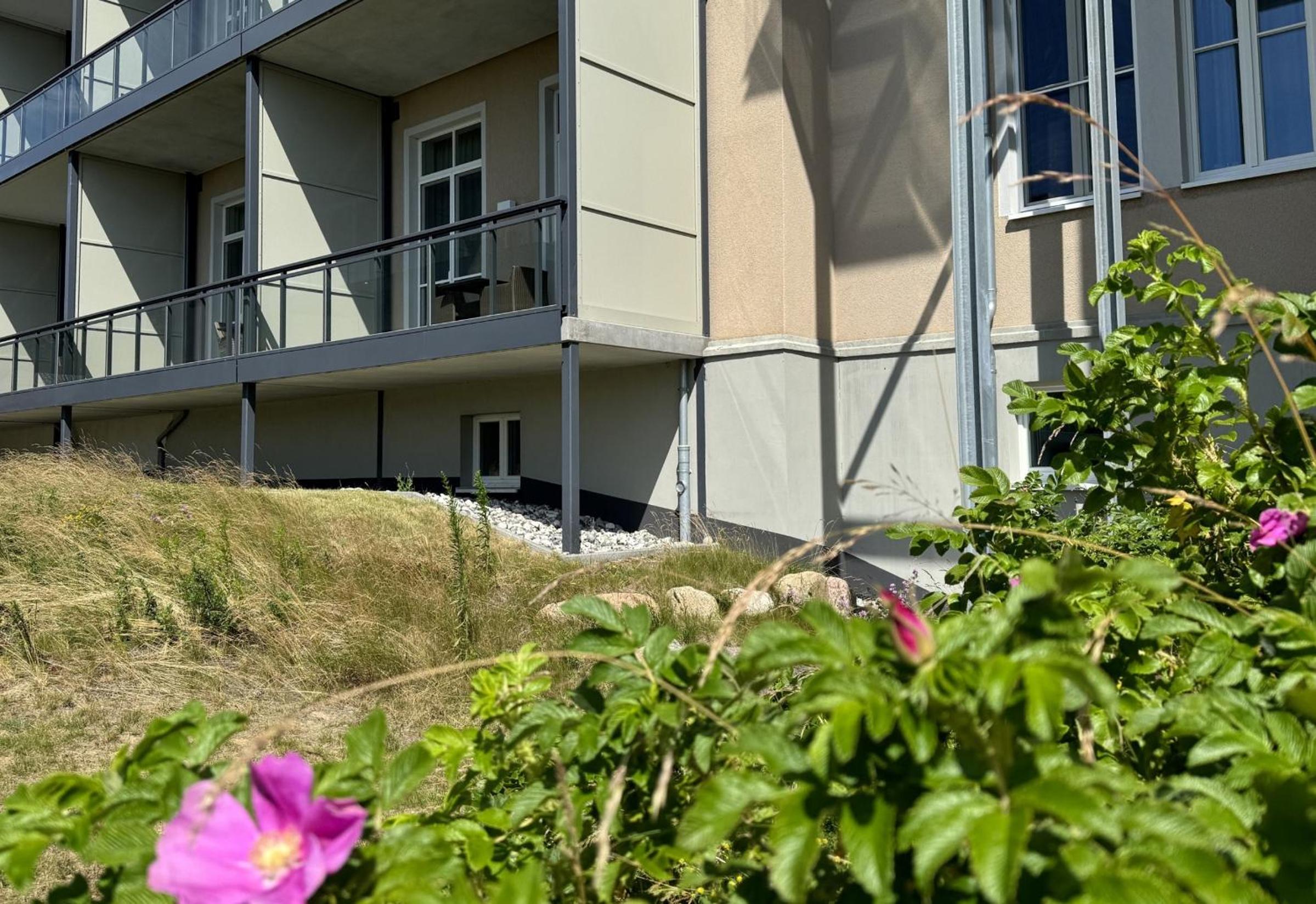 Alte Seefahrtschule Kranichnest