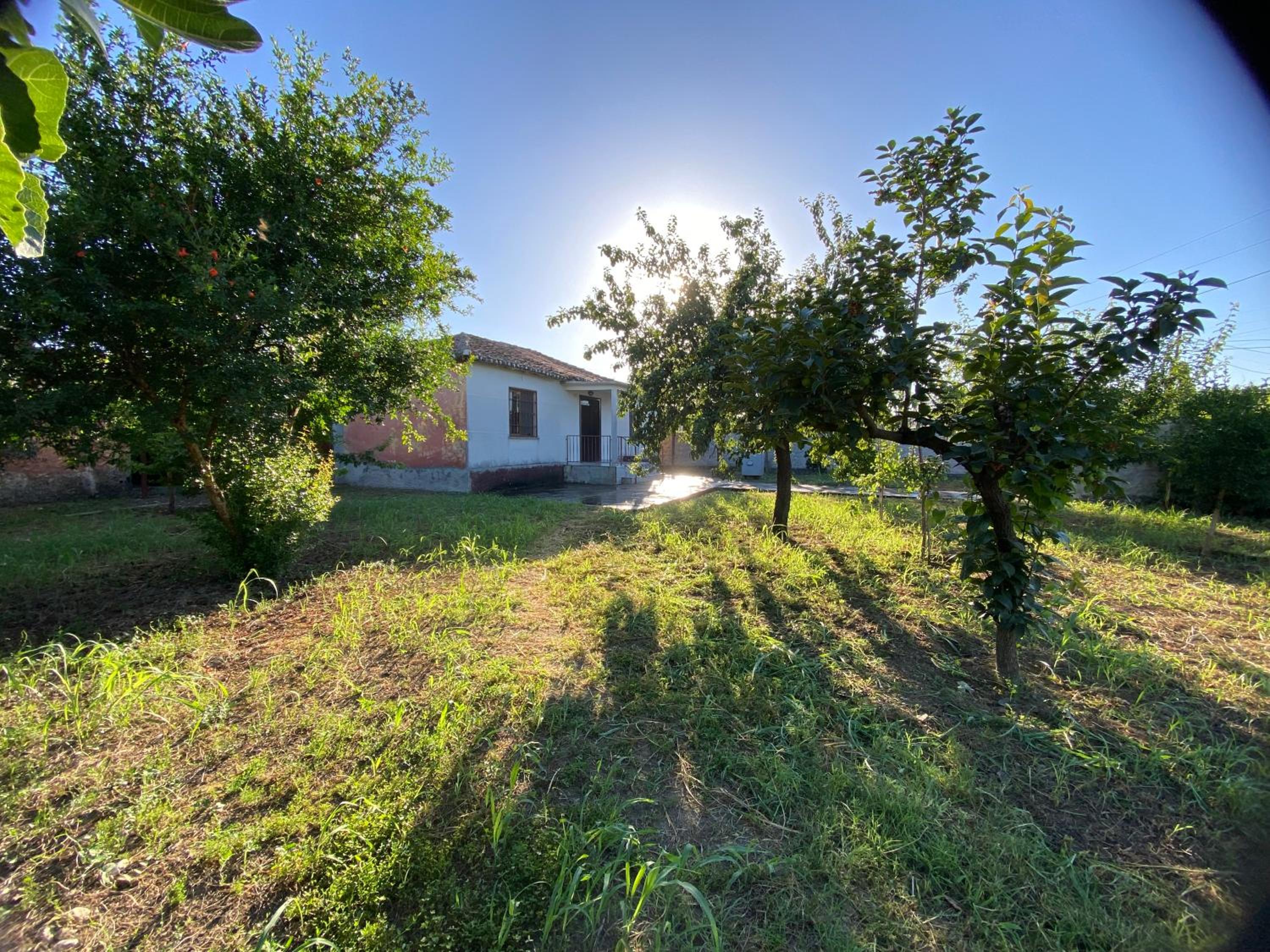 Village house