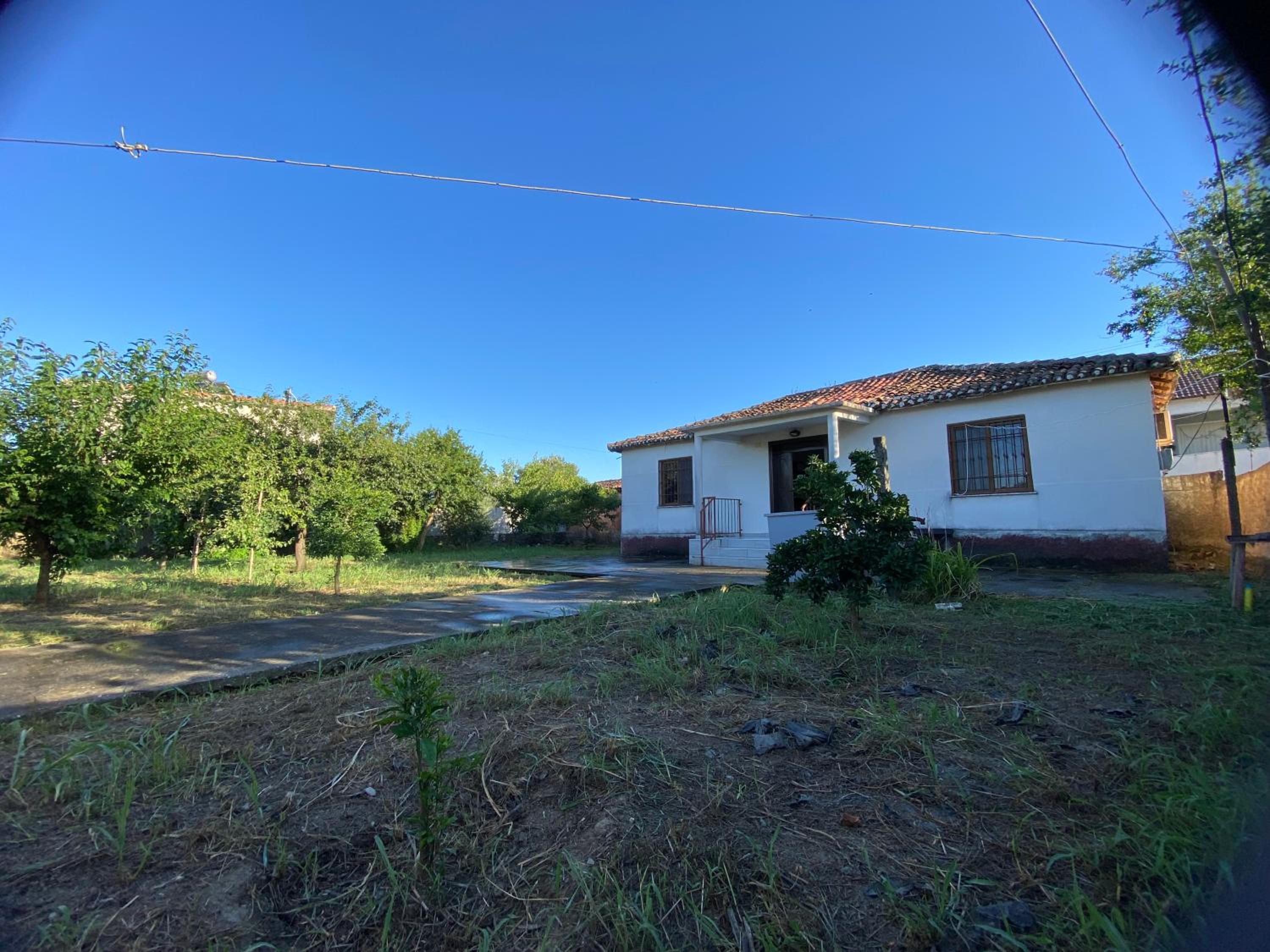 Village house