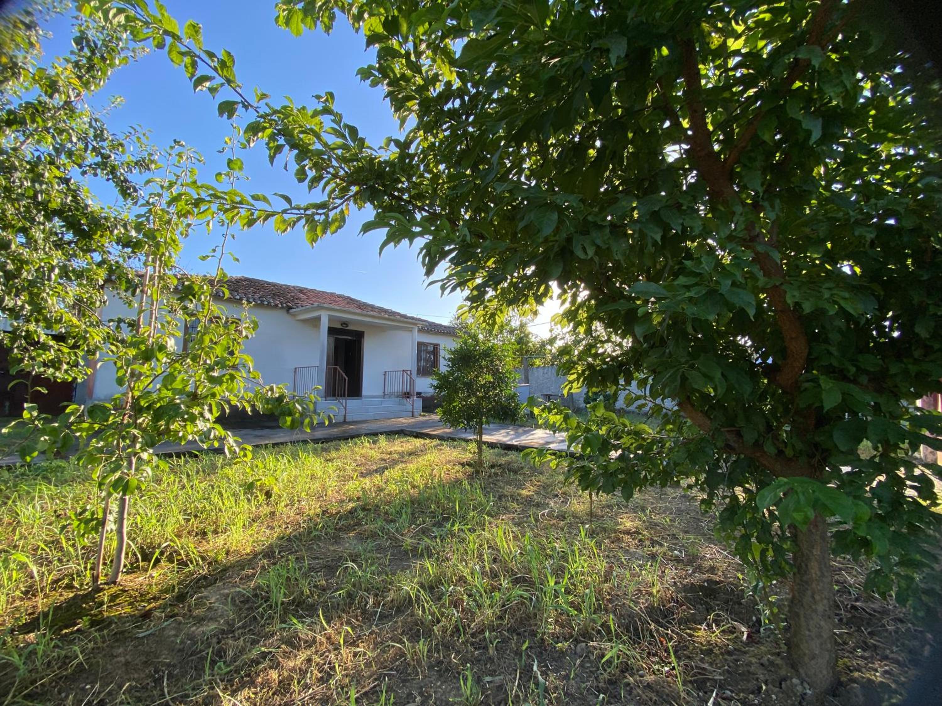 Village house
