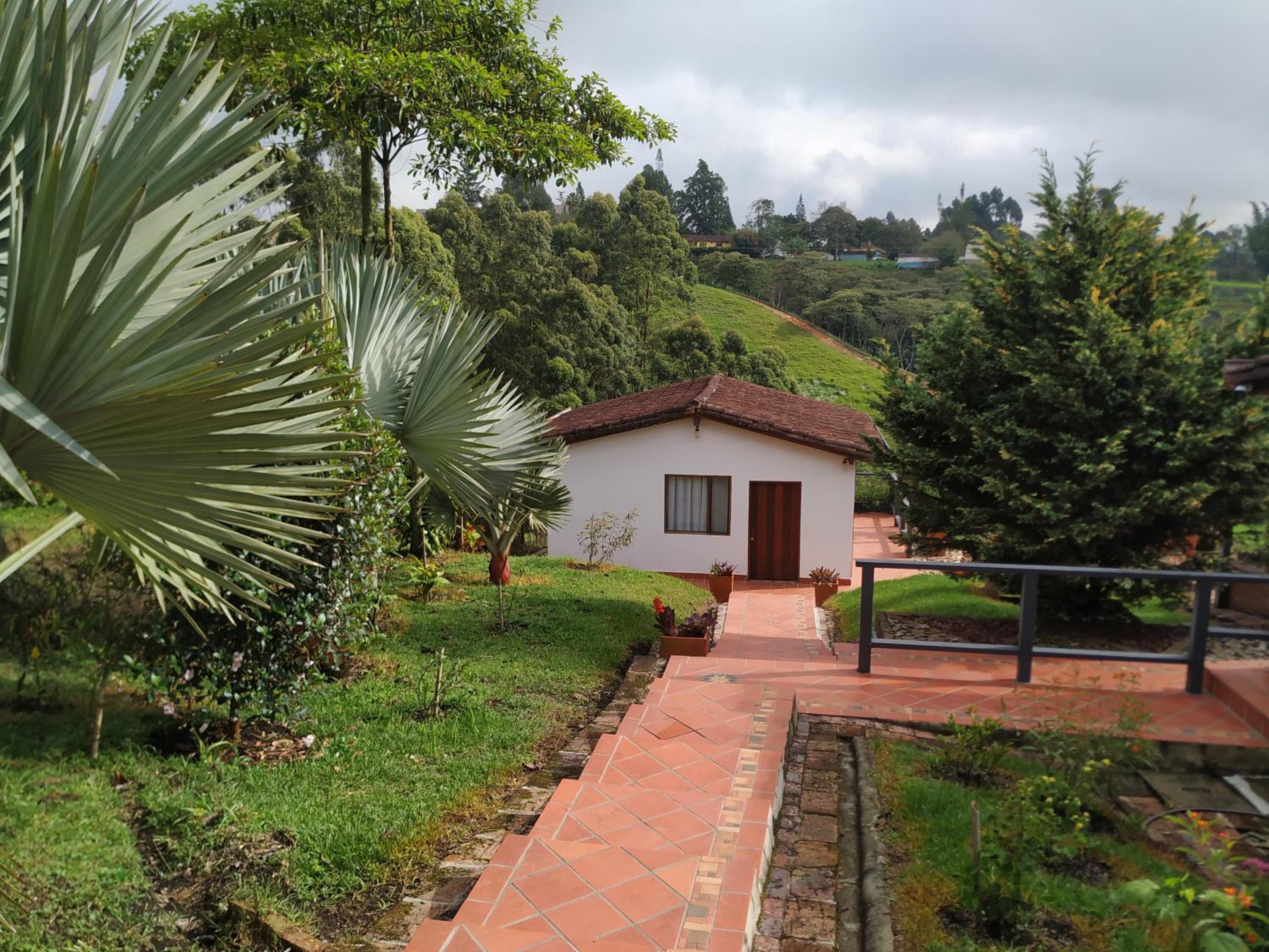 San José de las bromelias
