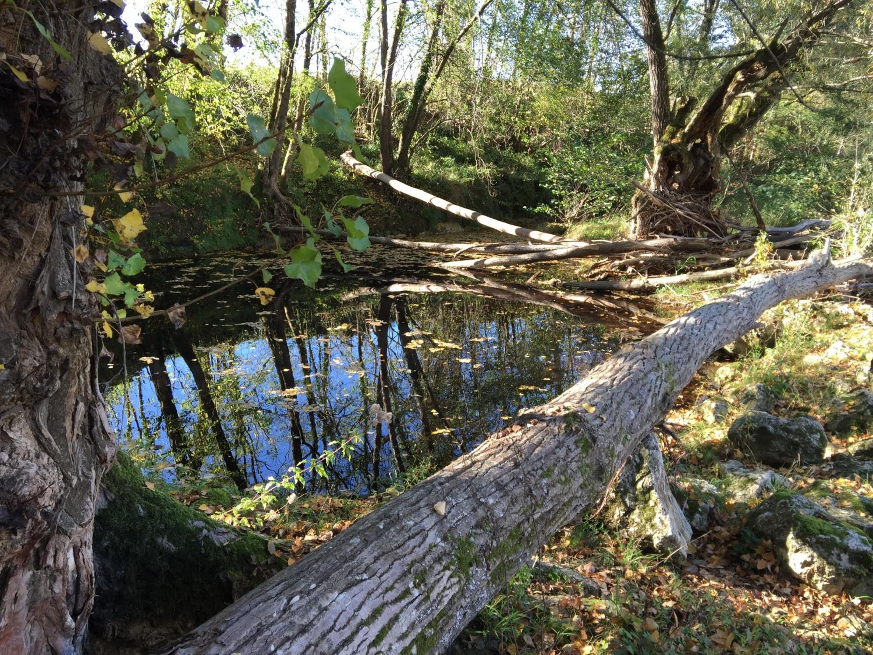 Photo 14