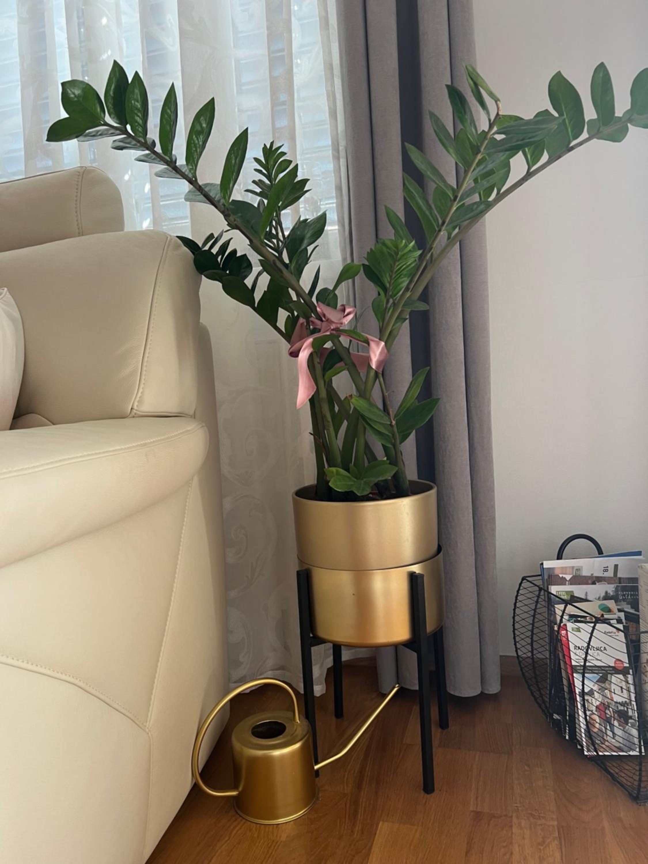 Apartment Anaa
