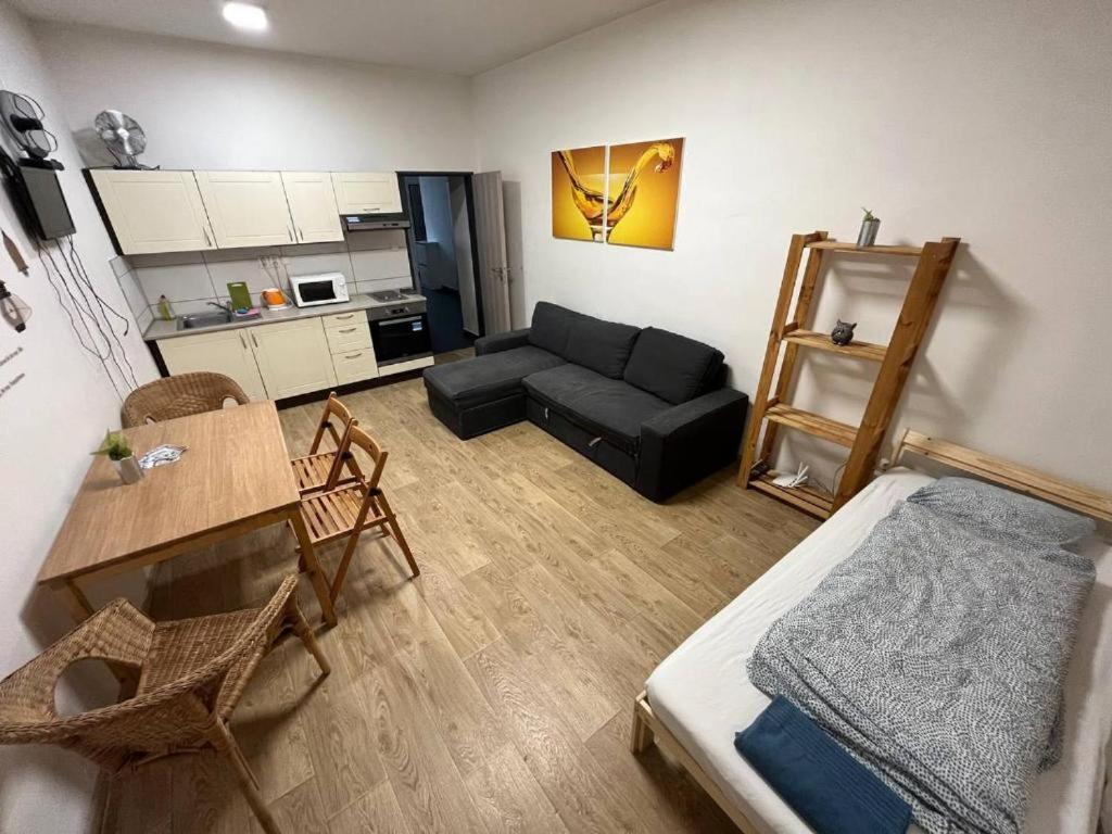 Apartments near the center with privat parking