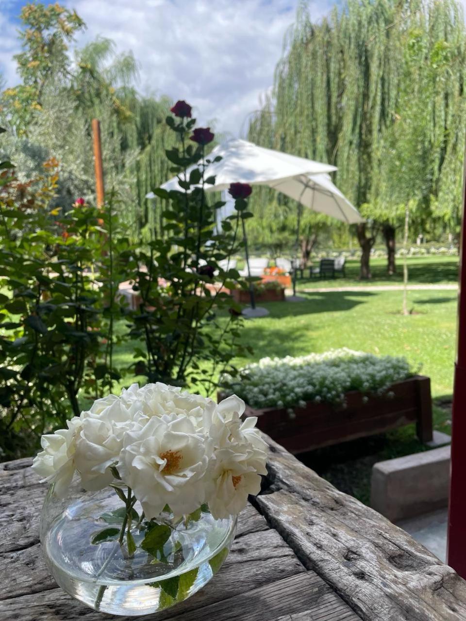 Lamadrid Guest House
