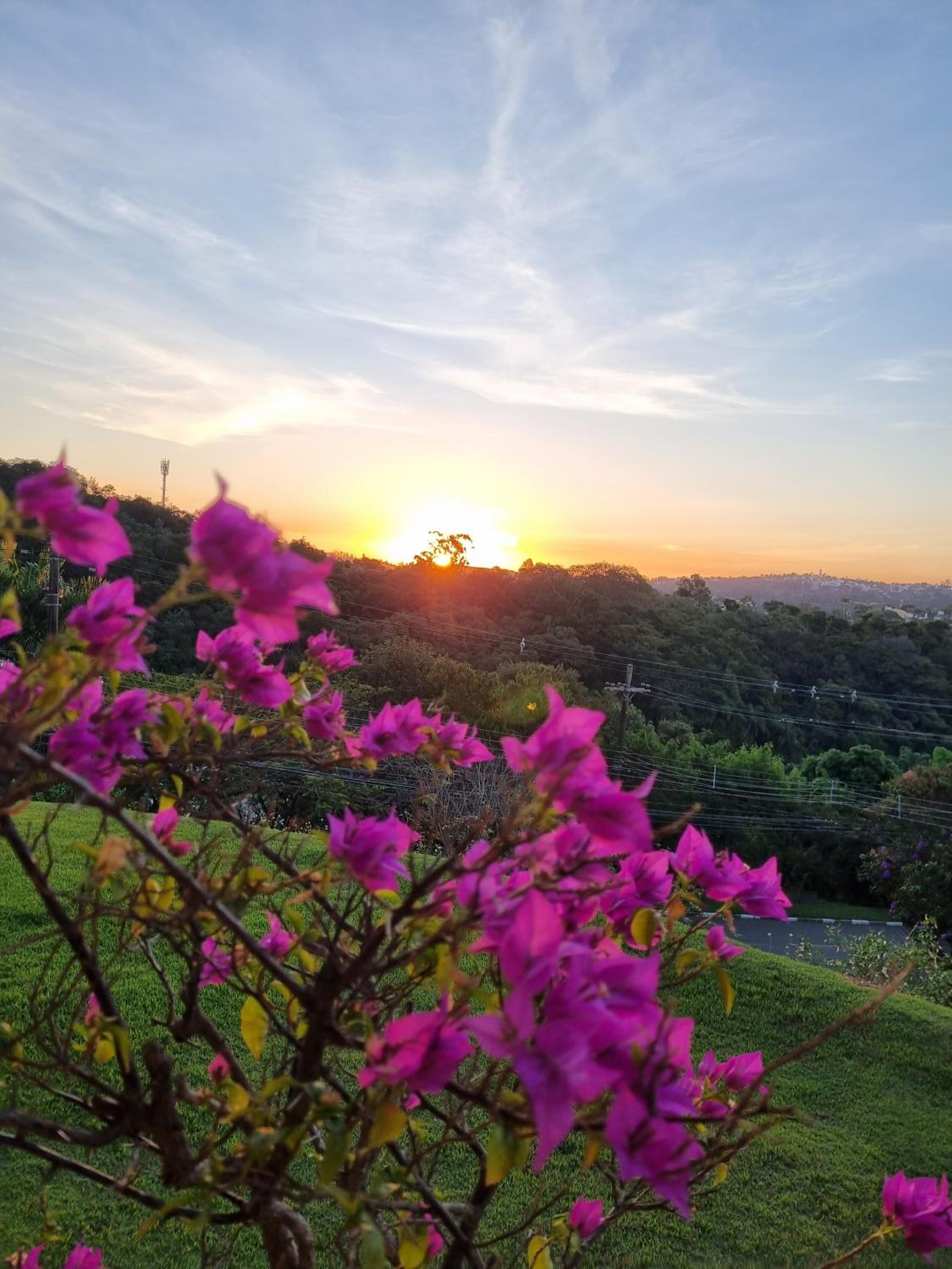 Um paraiso em meio à cidade