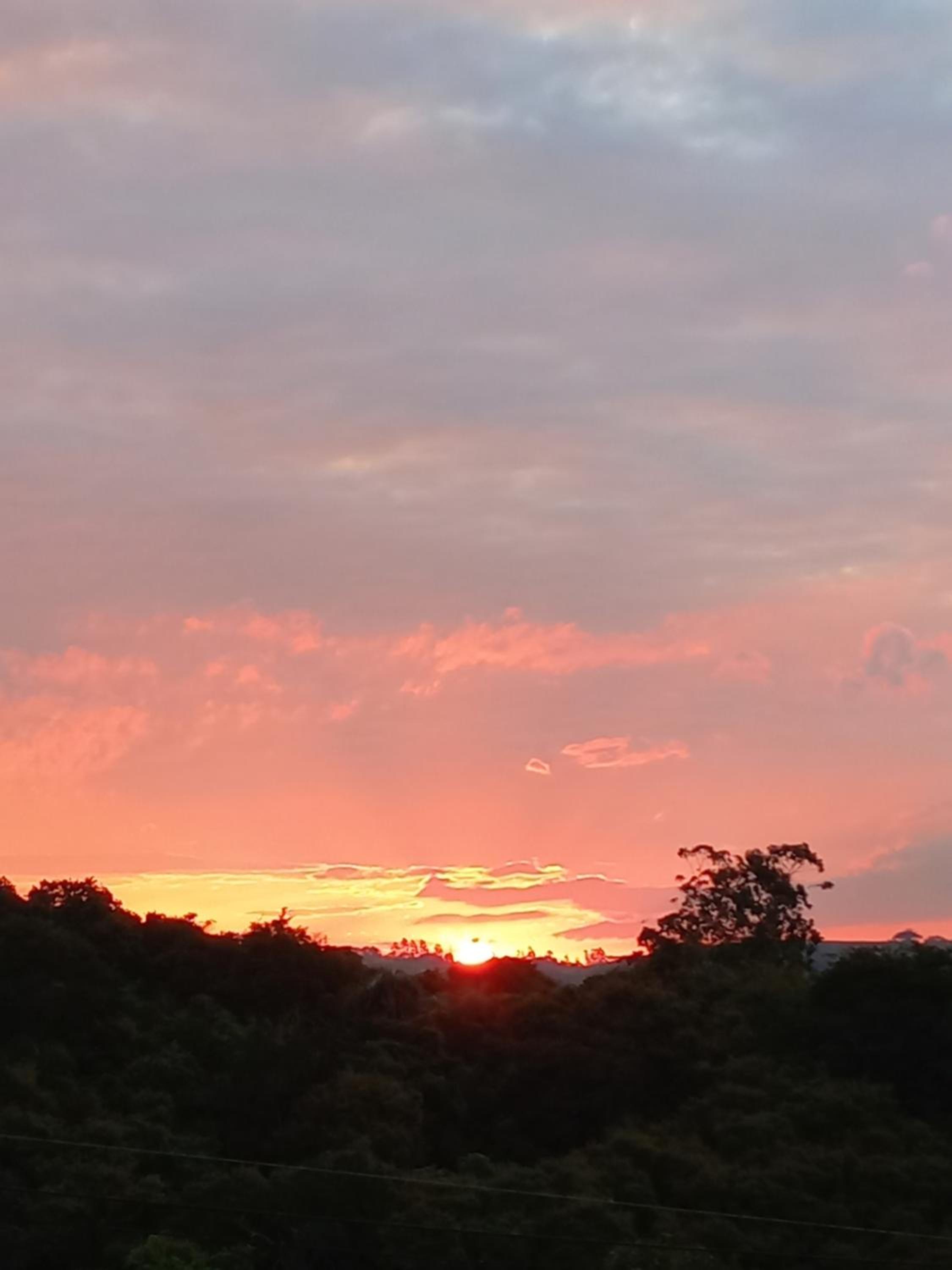Um paraiso em meio à cidade